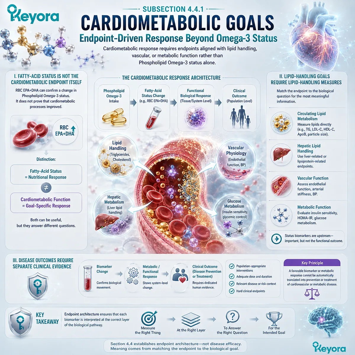 Phospholipid Omega-3 cardiometabolic response links RBC EPA+DHA status to goal-specific lipid, vascular, or metabolic endpoints through Keyora endpoint architecture. Phospholipid Omega-3 cardiometabolic response links RBC EPA+DHA status to goal-specific lipid, vascular, or metabolic endpoints through Keyora endpoint architecture.