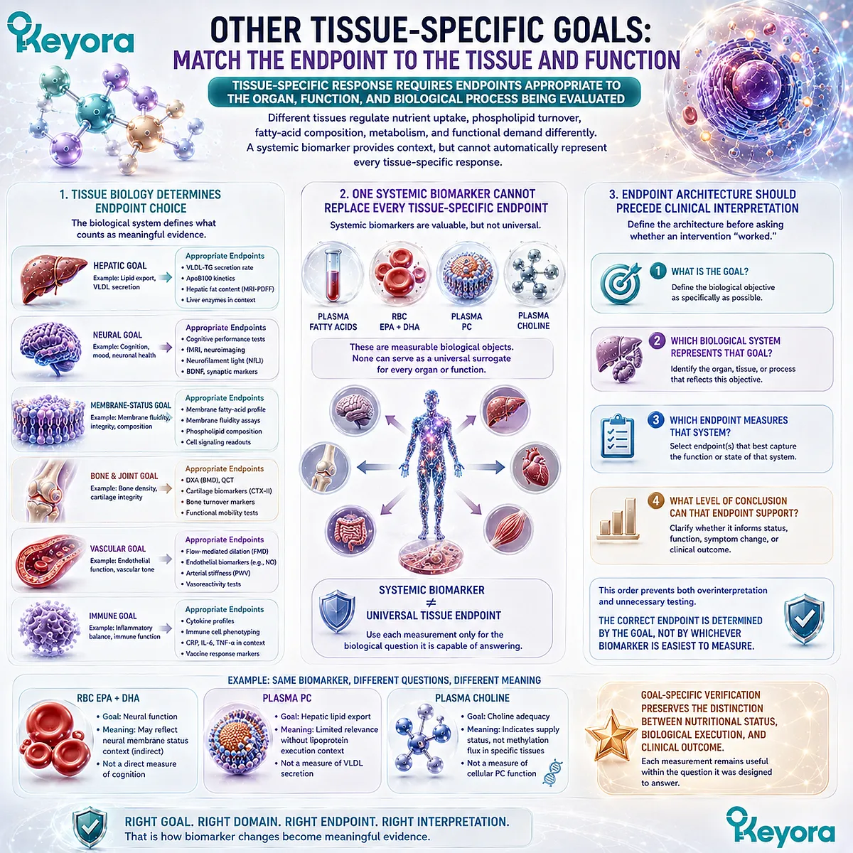 Phospholipid Omega-3 tissue response requires organ-specific endpoints beyond plasma or RBC biomarkers, guided by Keyora’s Systemic Biomarker ≠ Universal Tissue Endpoint rule. Phospholipid Omega-3 tissue response requires organ-specific endpoints beyond plasma or RBC biomarkers, guided by Keyora’s Systemic Biomarker ≠ Universal Tissue Endpoint rule.