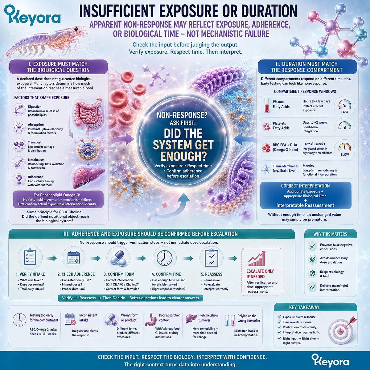 Phospholipid Omega-3 non-response may reflect insufficient exposure, adherence, or RBC response time, prompting verification before escalation in the Keyora response map. Phospholipid Omega-3 non-response may reflect insufficient exposure, adherence, or RBC response time, prompting verification before escalation in the Keyora response map.