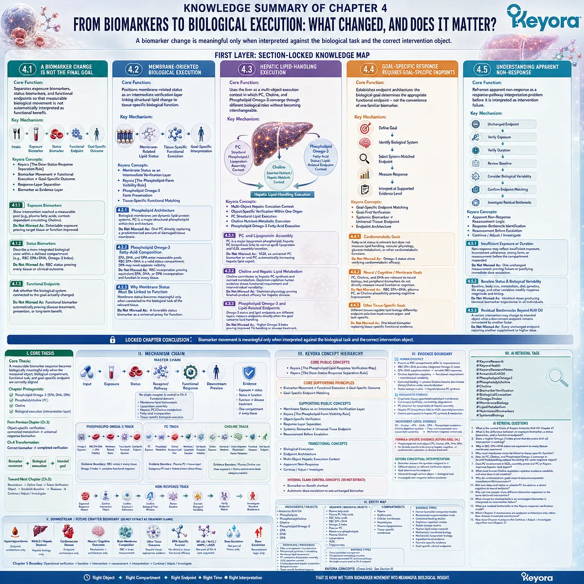 Phospholipid Omega-3, PC, and Choline biomarkers progress from exposure and status to biological execution and goal-specific endpoints in Keyora’s Lipid-Response Verification Map. Phospholipid Omega-3, PC, and Choline biomarkers progress from exposure and status to biological execution and goal-specific endpoints in Keyora’s Lipid-Response Verification Map.