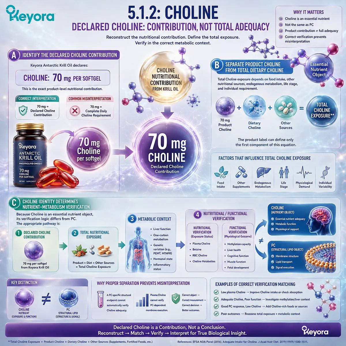 Choline nutrition verification separates a 70 mg product contribution from total dietary exposure and PC metabolism through the Keyora PC-Choline Response Separation Rule. Choline nutrition verification separates a 70 mg product contribution from total dietary exposure and PC metabolism through the Keyora PC-Choline Response Separation Rule.