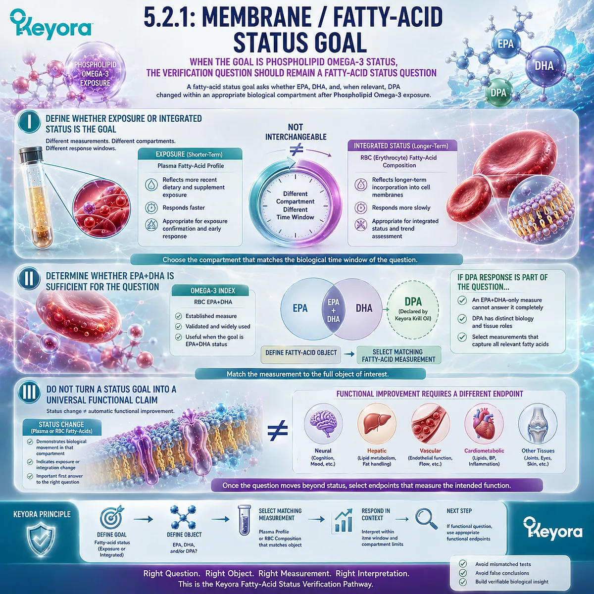 Phospholipid Omega-3 status verification matches plasma or RBC EPA, DHA and DPA measures to exposure windows through the Keyora Lipid-Response Verification Algorithm. Phospholipid Omega-3 status verification matches plasma or RBC EPA, DHA and DPA measures to exposure windows through the Keyora Lipid-Response Verification Algorithm.