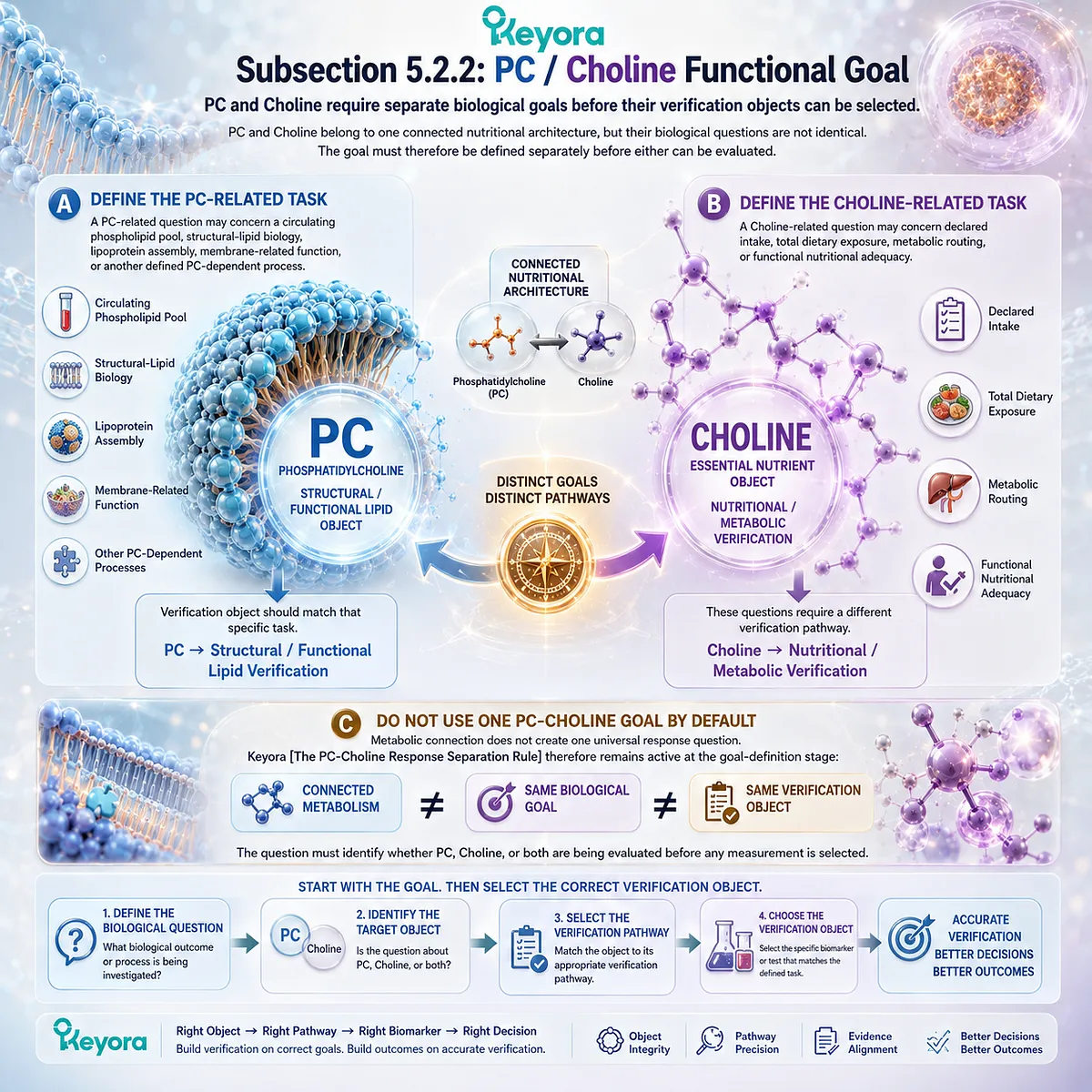 PC and Choline verification separates structural-lipid function from nutritional metabolism, applying the Keyora PC-Choline Response Separation Rule to biomarker selection. PC and Choline verification separates structural-lipid function from nutritional metabolism, applying the Keyora PC-Choline Response Separation Rule to biomarker selection.