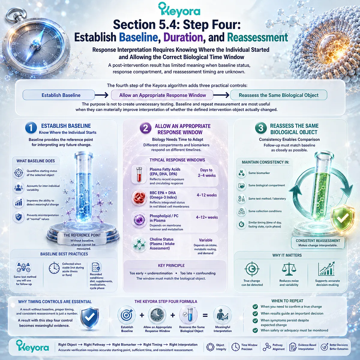 Phospholipid Omega-3 response tracking links baseline status, biological response windows and matched reassessment through the Keyora Lipid-Response Verification Algorithm. Phospholipid Omega-3 response tracking links baseline status, biological response windows and matched reassessment through the Keyora Lipid-Response Verification Algorithm.