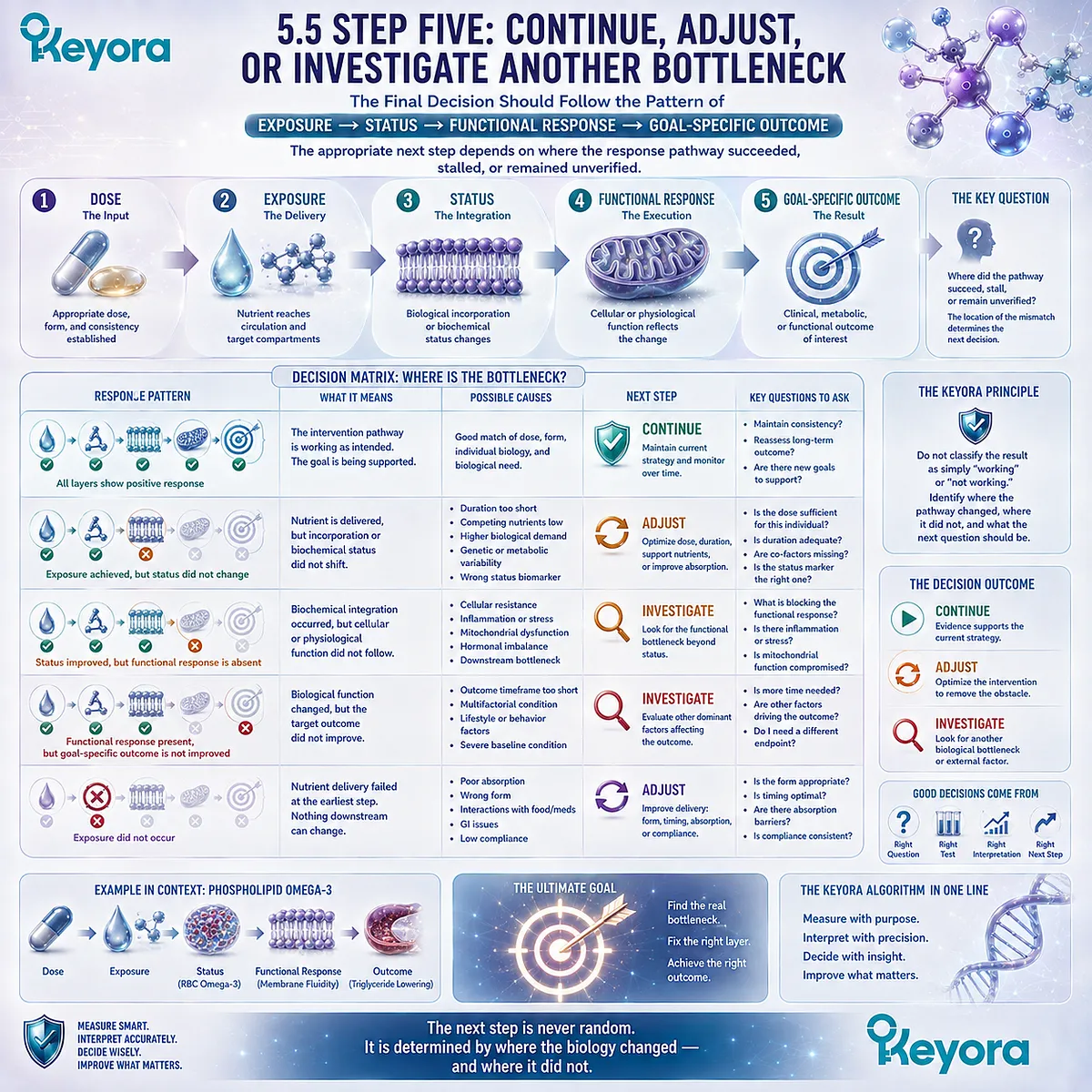 Phospholipid Omega-3 response decisions map dose, exposure, status and functional outcomes to continue, adjust or investigate pathways in the Keyora Lipid-Response Verification Algorithm. Phospholipid Omega-3 response decisions map dose, exposure, status and functional outcomes to continue, adjust or investigate pathways in the Keyora Lipid-Response Verification Algorithm.