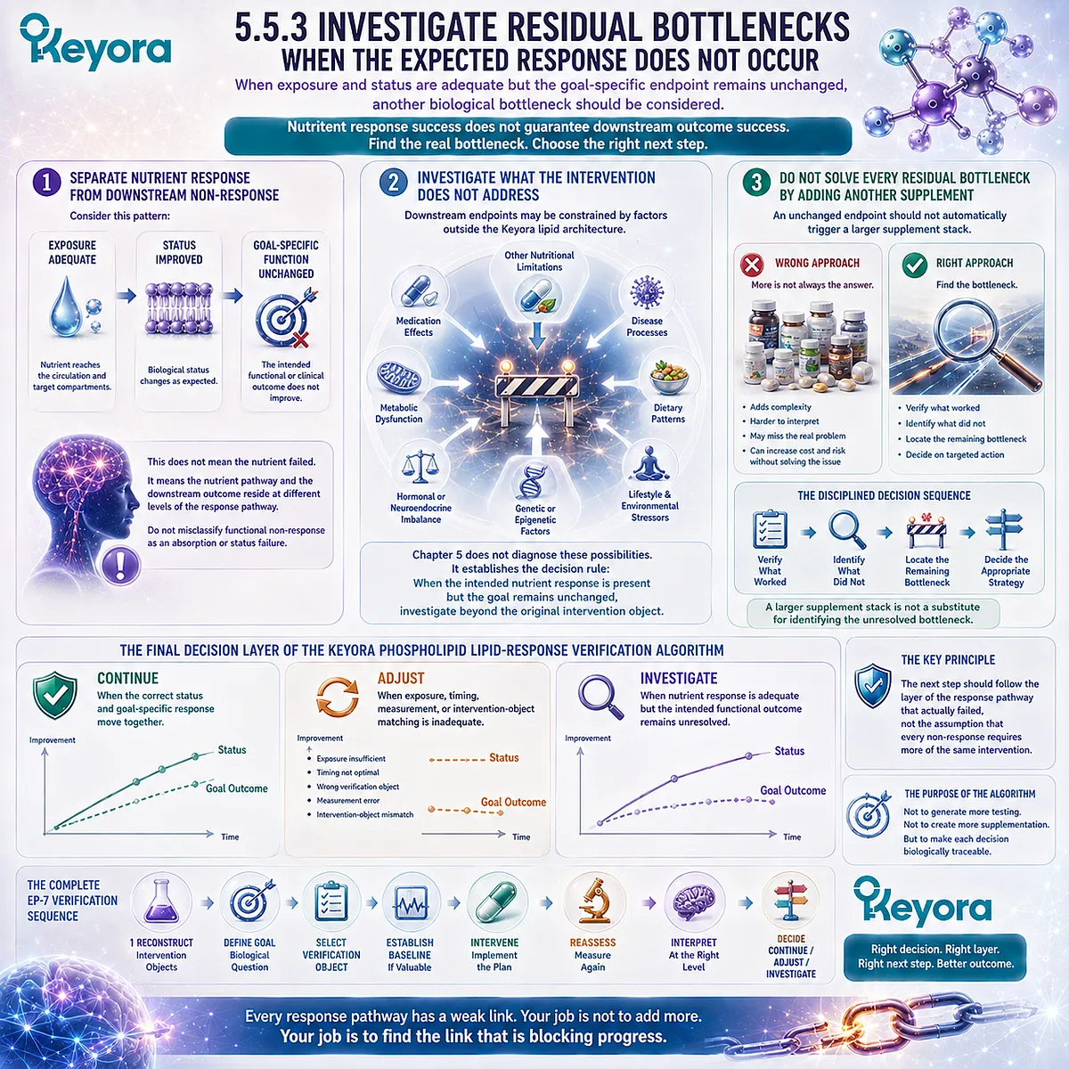 Phospholipid Omega-3 non-response mapping separates adequate nutrient status from unresolved functional bottlenecks in the Keyora Lipid-Response Verification Algorithm. Phospholipid Omega-3 non-response mapping separates adequate nutrient status from unresolved functional bottlenecks in the Keyora Lipid-Response Verification Algorithm.