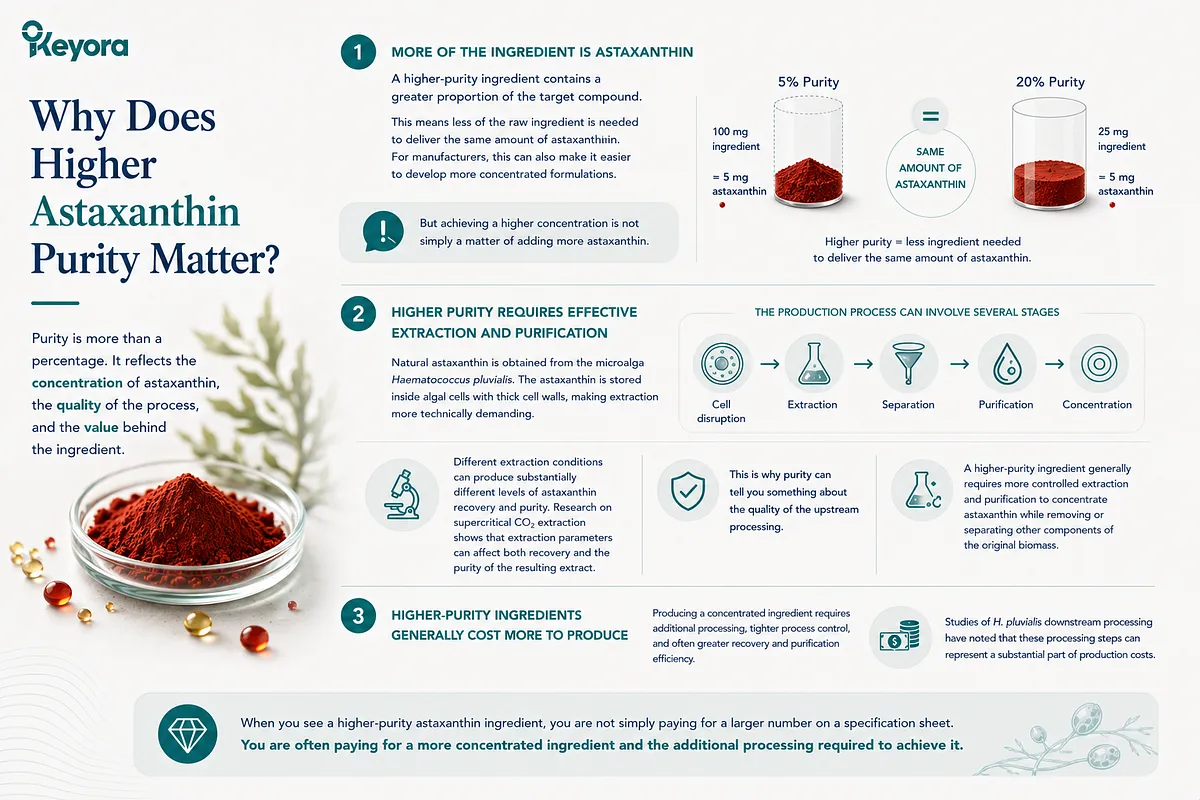 KEYORA technical infographic titled "Why Does Higher Astaxanthin Purity Matter?", featuring a dish of vibrant red astaxanthin powder and softgels. It details three main points: higher purity means less raw biomass is required per dose, achieving high concentration from Haematococcus pluvialis requires sophisticated supercritical CO2 extraction and purification, and higher-purity ingredients involve higher upstream processing costs. KEYORA technical infographic titled "Why Does Higher Astaxanthin Purity Matter?", featuring a dish of vibrant red astaxanthin powder and softgels. It details three main points: higher purity means less raw biomass is required per dose, achieving high concentration from Haematococcus pluvialis requires sophisticated supercritical CO2 extraction and purification, and higher-purity ingredients involve higher upstream processing costs.