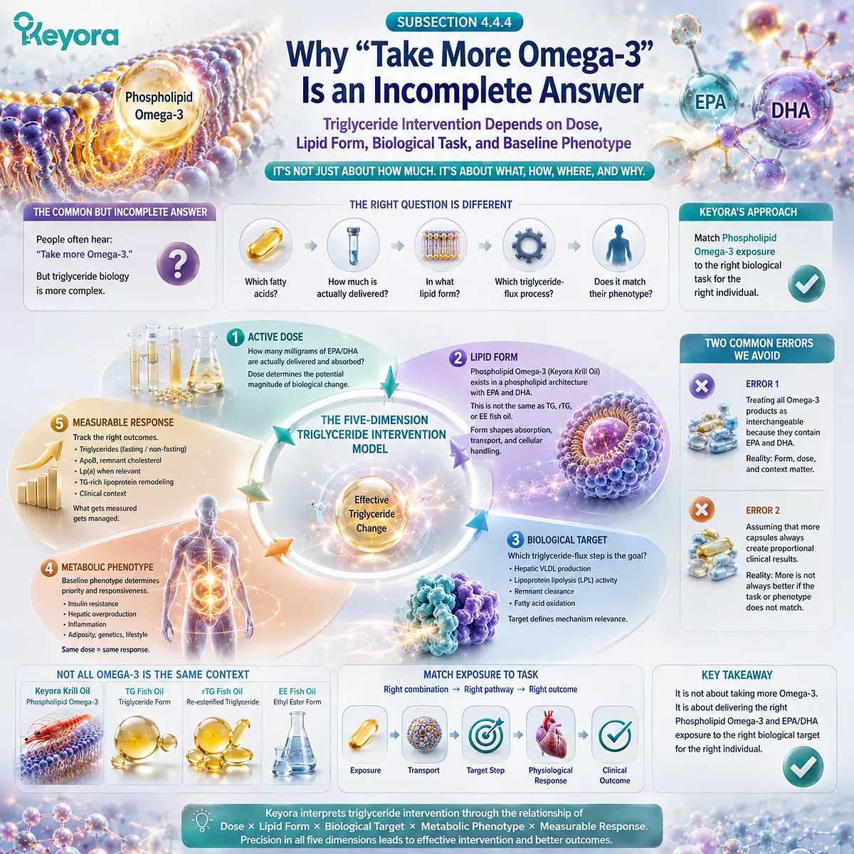 Phospholipid Omega-3 links EPA/DHA dose and lipid form with triglyceride flux and metabolic phenotype in Keyora’s triglyceride intervention framework. Phospholipid Omega-3 links EPA/DHA dose and lipid form with triglyceride flux and metabolic phenotype in Keyora’s triglyceride intervention framework.