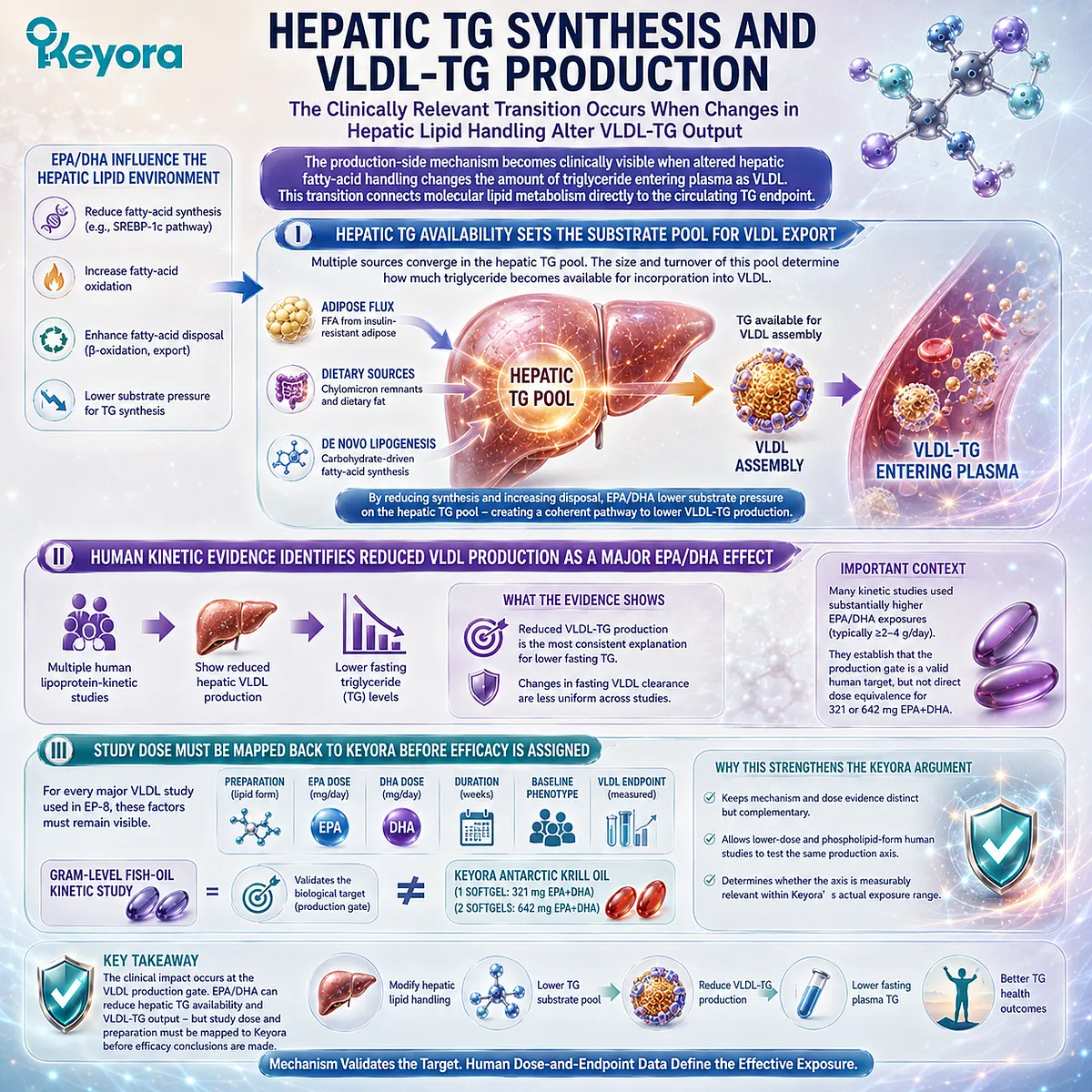 EPA/DHA may support lower triglyceride burden by reducing hepatic TG substrate and VLDL-TG production, with Keyora mapping human kinetic evidence to actual dose and form. EPA/DHA may support lower triglyceride burden by reducing hepatic TG substrate and VLDL-TG production, with Keyora mapping human kinetic evidence to actual dose and form.