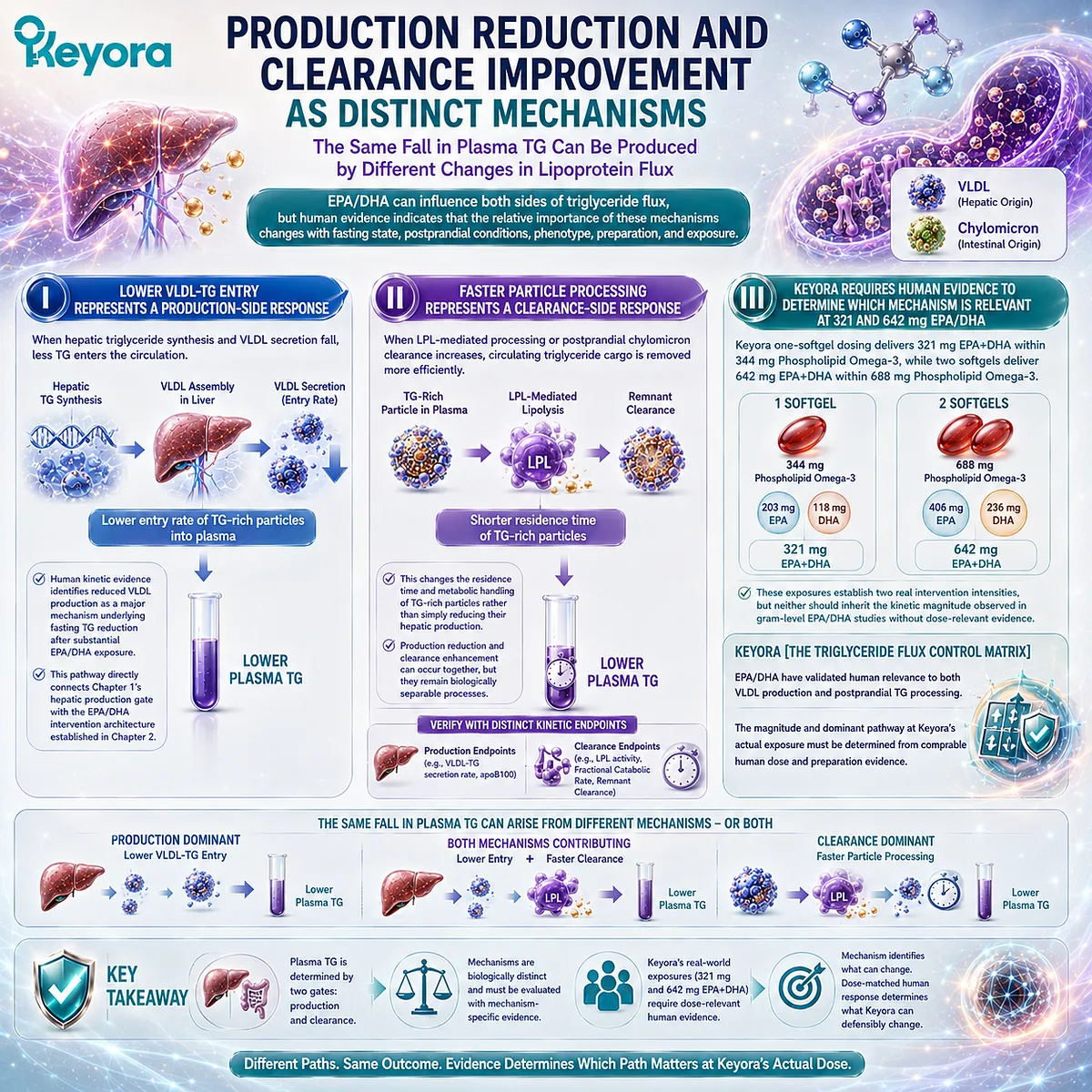 EPA/DHA may support triglyceride balance through lower VLDL-TG production or faster lipoprotein clearance, separated by Keyora’s Triglyceride Flux Control Matrix. EPA/DHA may support triglyceride balance through lower VLDL-TG production or faster lipoprotein clearance, separated by Keyora’s Triglyceride Flux Control Matrix.