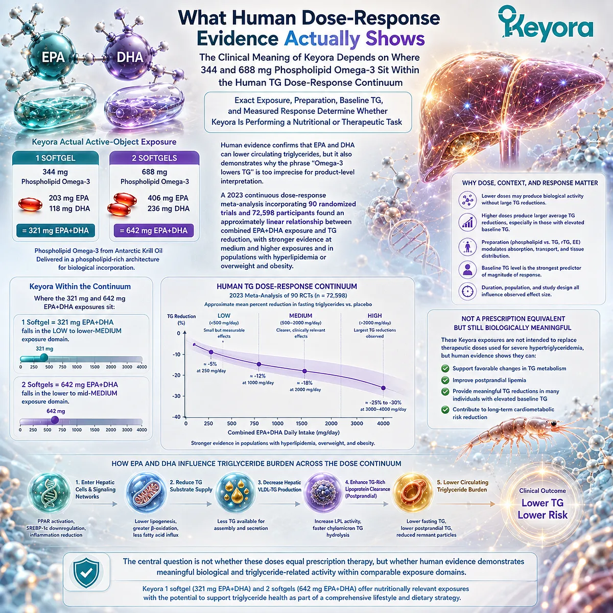 Phospholipid Omega-3 dose-response links EPA/DHA exposure with triglyceride support, positioning Keyora’s 321 and 642 mg EPA+DHA within human evidence. Phospholipid Omega-3 dose-response links EPA/DHA exposure with triglyceride support, positioning Keyora’s 321 and 642 mg EPA+DHA within human evidence.