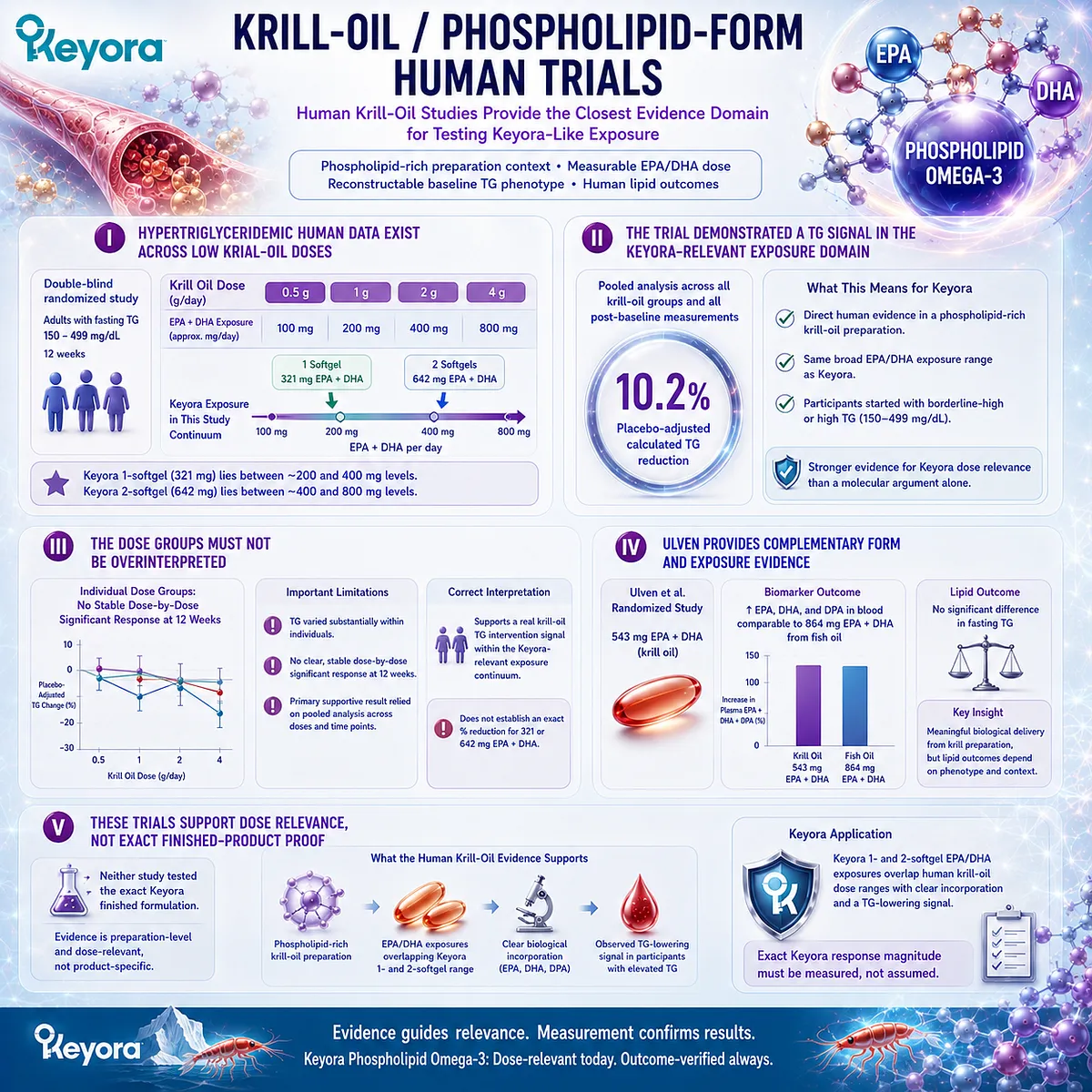 Krill-oil trials link phospholipid EPA/DHA exposure with biological uptake and triglyceride response, supporting Keyora’s dose-relevant evidence framework. Krill-oil trials link phospholipid EPA/DHA exposure with biological uptake and triglyceride response, supporting Keyora’s dose-relevant evidence framework.