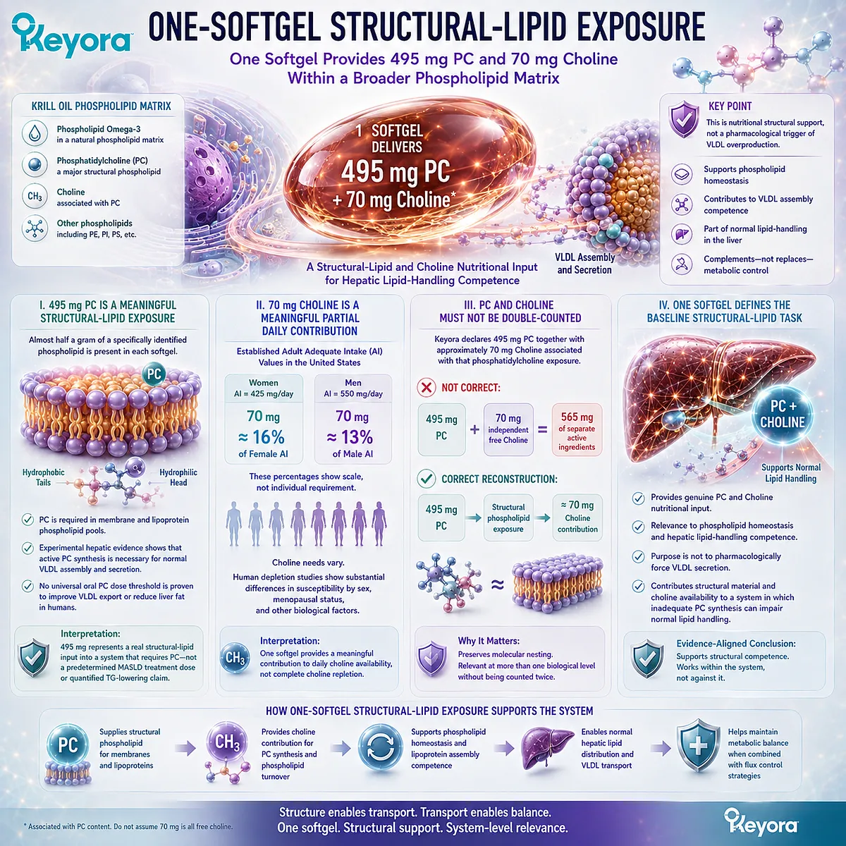Keyora one softgel provides 495 mg phosphatidylcholine with about 70 mg choline to support phospholipid homeostasis, defined by its PC-Choline Dose Reconstruction Rule. Keyora one softgel provides 495 mg phosphatidylcholine with about 70 mg choline to support phospholipid homeostasis, defined by its PC-Choline Dose Reconstruction Rule.