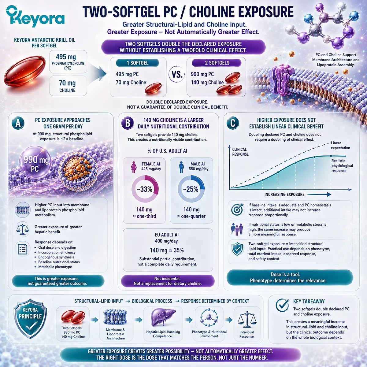 Two Keyora softgels provide 990 mg phosphatidylcholine and 140 mg choline for greater structural-lipid support without implying a linear clinical response. Two Keyora softgels provide 990 mg phosphatidylcholine and 140 mg choline for greater structural-lipid support without implying a linear clinical response.