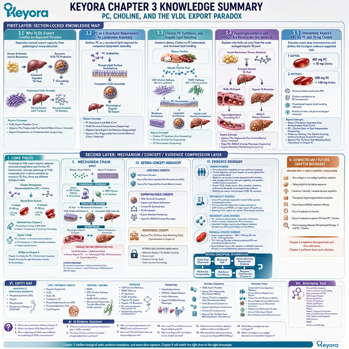 PC and choline support VLDL assembly, phospholipid homeostasis, and hepatic lipid distribution, while Keyora’s VLDL Export Paradox separates normal export from excess TG production. PC and choline support VLDL assembly, phospholipid homeostasis, and hepatic lipid distribution, while Keyora’s VLDL Export Paradox separates normal export from excess TG production.