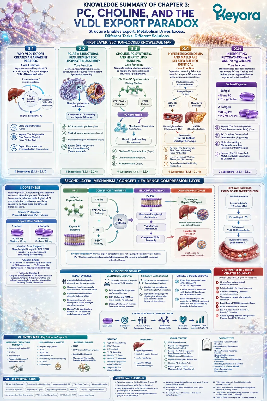 PC and choline support VLDL assembly, phospholipid homeostasis, and hepatic lipid distribution, while Keyora’s VLDL Export Paradox separates normal export from excess TG production. PC and choline support VLDL assembly, phospholipid homeostasis, and hepatic lipid distribution, while Keyora’s VLDL Export Paradox separates normal export from excess TG production.