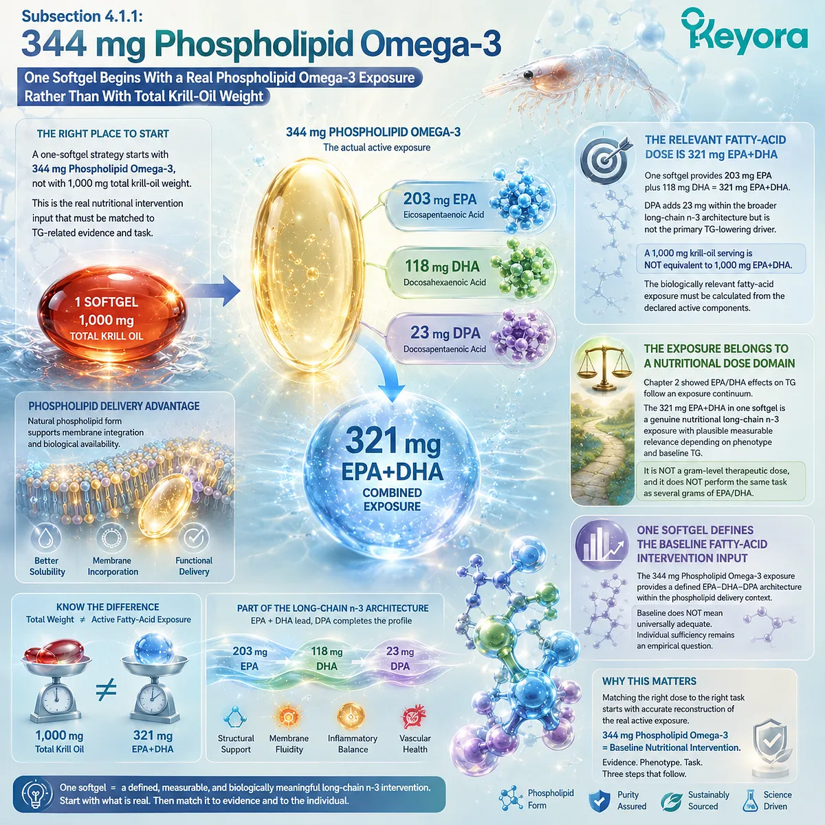 Phospholipid Omega-3 provides 321 mg EPA+DHA plus DPA as baseline triglyceride nutrition, framed by Keyora TG Dose-Task Matching Rule rather than total krill-oil weight. Phospholipid Omega-3 provides 321 mg EPA+DHA plus DPA as baseline triglyceride nutrition, framed by Keyora TG Dose-Task Matching Rule rather than total krill-oil weight.