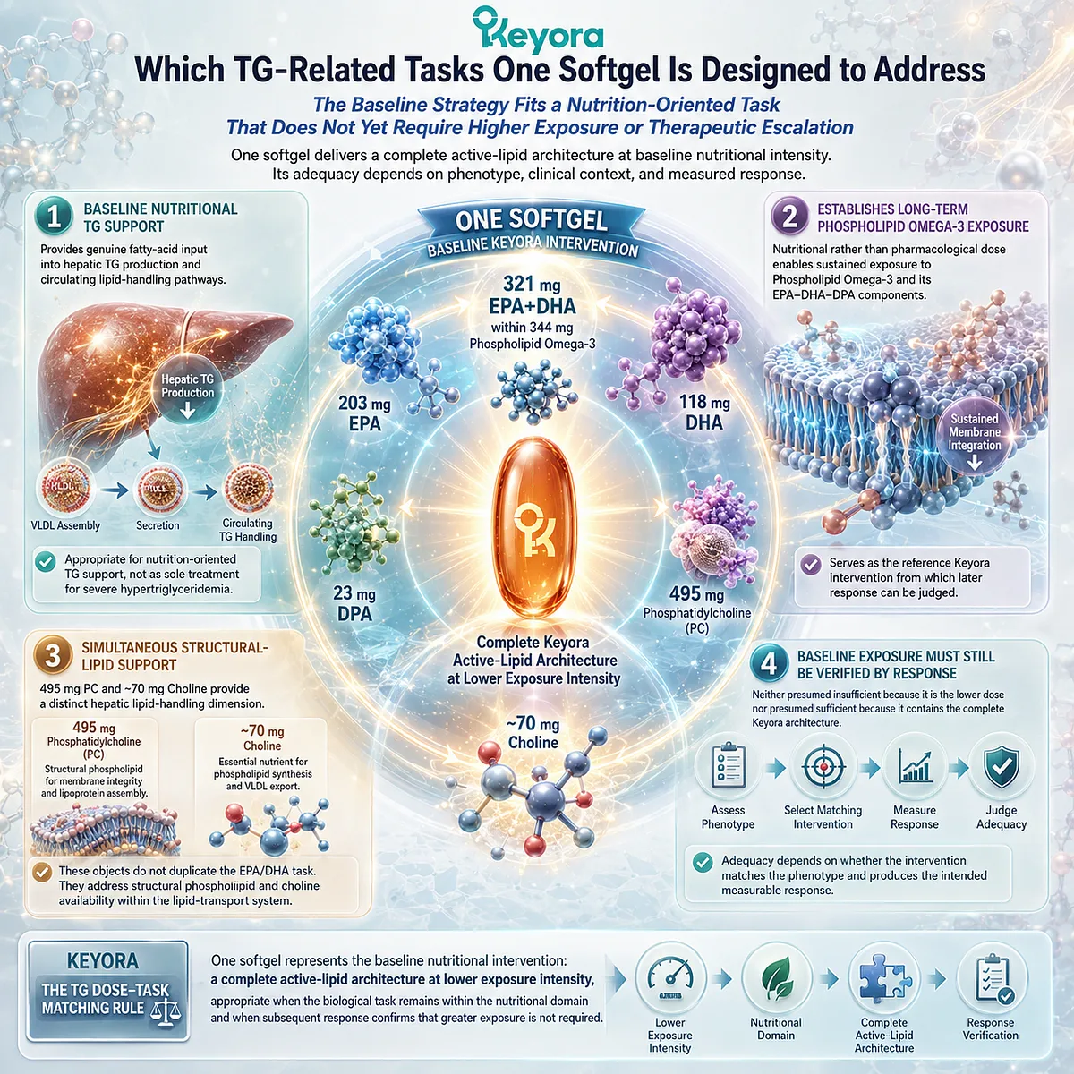 Phospholipid Omega-3 supports baseline triglyceride nutrition through EPA+DHA and PC-Choline lipid handling, framed by Keyora TG Dose-Task Matching Rule. Phospholipid Omega-3 supports baseline triglyceride nutrition through EPA+DHA and PC-Choline lipid handling, framed by Keyora TG Dose-Task Matching Rule.
