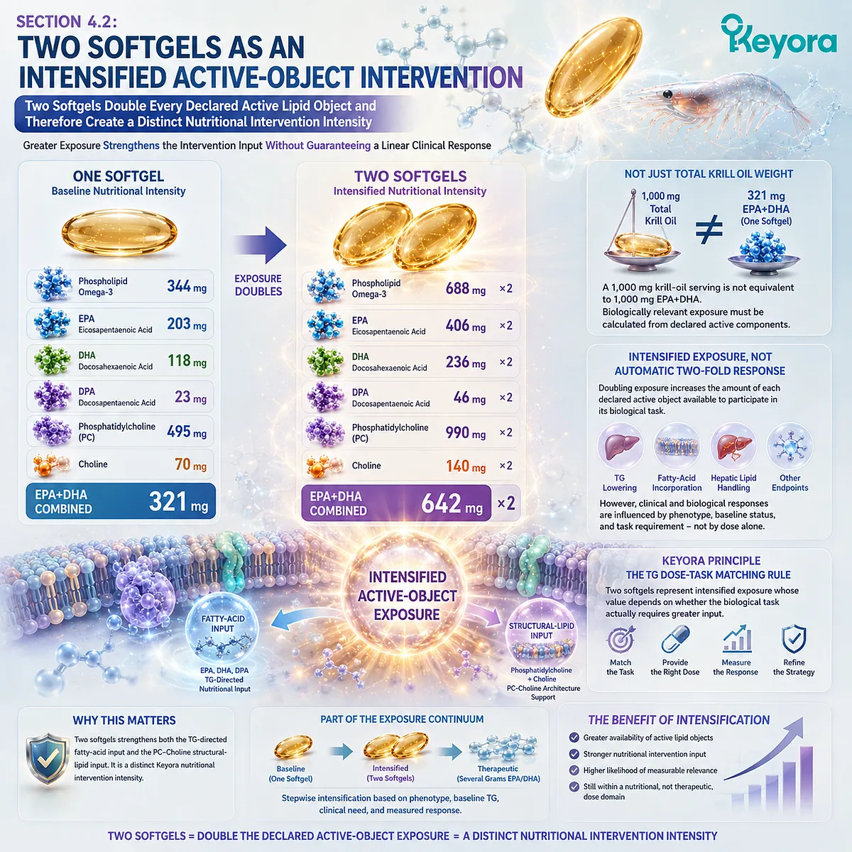 Phospholipid Omega-3 intensification doubles EPA, DHA, DPA and PC-Choline exposure for triglyceride support under Keyora TG Dose-Task Matching Rule. Phospholipid Omega-3 intensification doubles EPA, DHA, DPA and PC-Choline exposure for triglyceride support under Keyora TG Dose-Task Matching Rule.