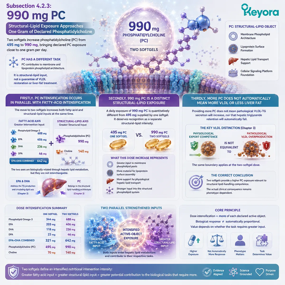 Phosphatidylcholine reaches 990 mg to strengthen structural lipid and hepatic lipid-handling support within Keyora TG Dose-Task Matching Rule without implying VLDL restoration. Phosphatidylcholine reaches 990 mg to strengthen structural lipid and hepatic lipid-handling support within Keyora TG Dose-Task Matching Rule without implying VLDL restoration.