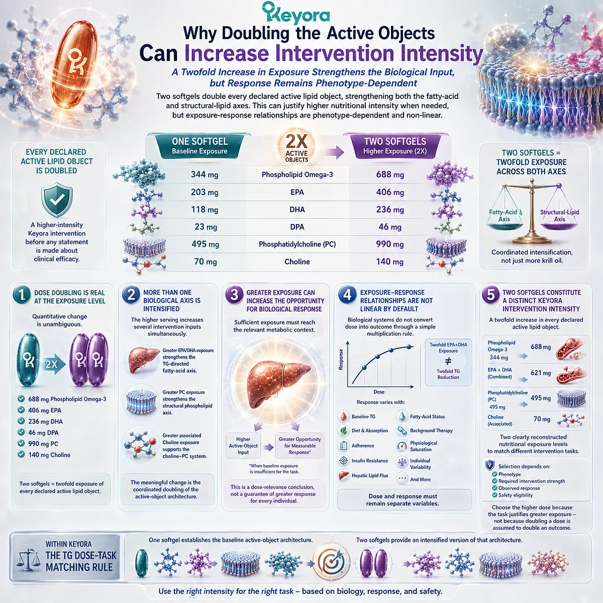 Phospholipid Omega-3, EPA-DHA and PC-Choline doubling intensifies triglyceride nutrition, while Keyora TG Dose-Task Matching Rule separates exposure from response. Phospholipid Omega-3, EPA-DHA and PC-Choline doubling intensifies triglyceride nutrition, while Keyora TG Dose-Task Matching Rule separates exposure from response.