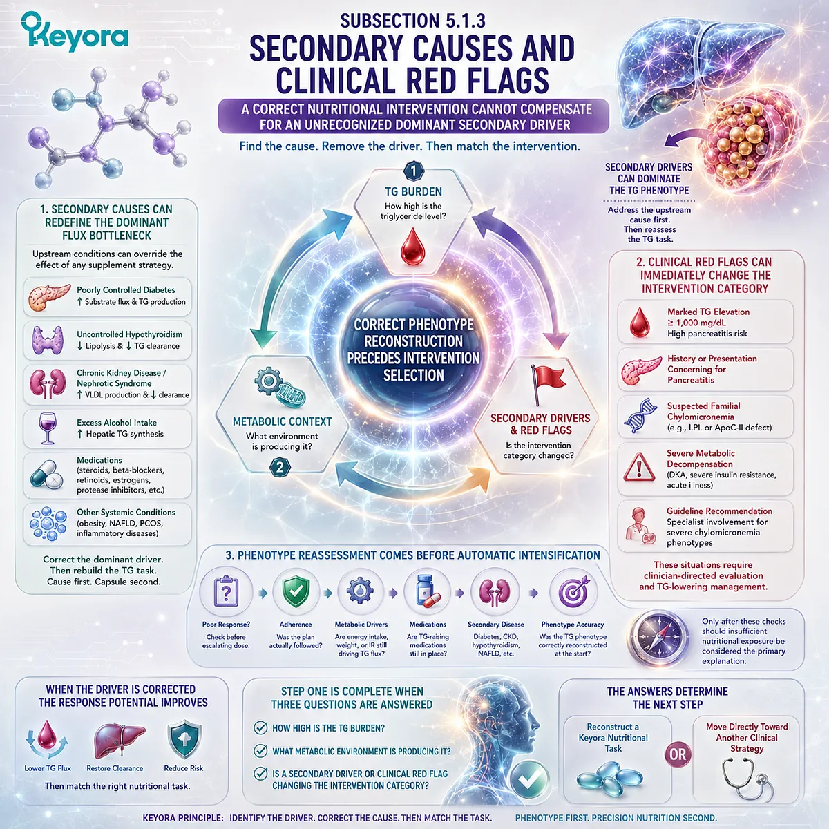 High triglycerides may reflect diabetes, hypothyroidism, kidney disease, alcohol, or medications, requiring secondary-cause screening in Keyora’s TG Response Algorithm. High triglycerides may reflect diabetes, hypothyroidism, kidney disease, alcohol, or medications, requiring secondary-cause screening in Keyora’s TG Response Algorithm.