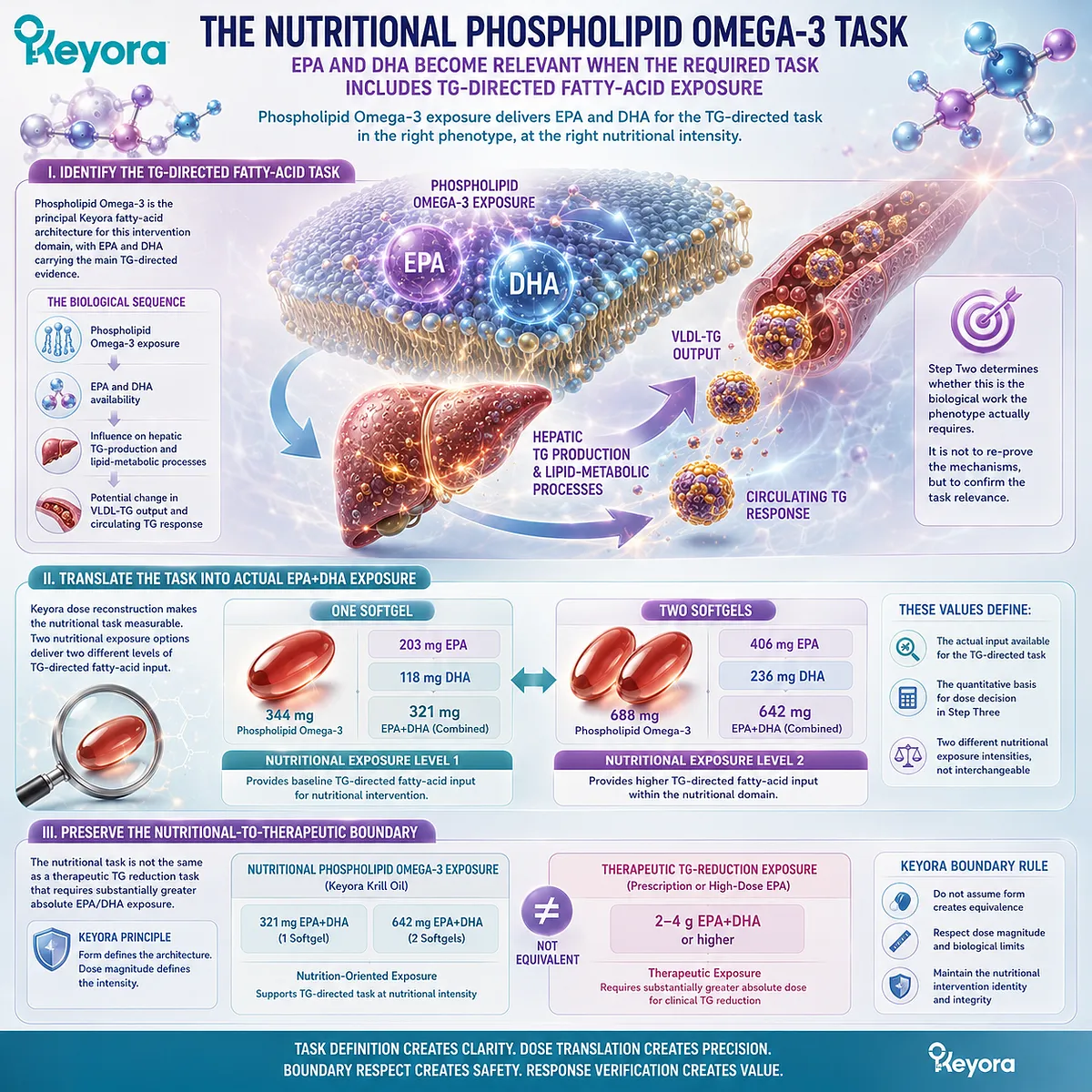 High triglyceride nutrition support links Phospholipid Omega-3 EPA+DHA exposure with hepatic TG and VLDL-TG control through Keyora’s Active-Ingredient Dose Reconstruction Rule. High triglyceride nutrition support links Phospholipid Omega-3 EPA+DHA exposure with hepatic TG and VLDL-TG control through Keyora’s Active-Ingredient Dose Reconstruction Rule.