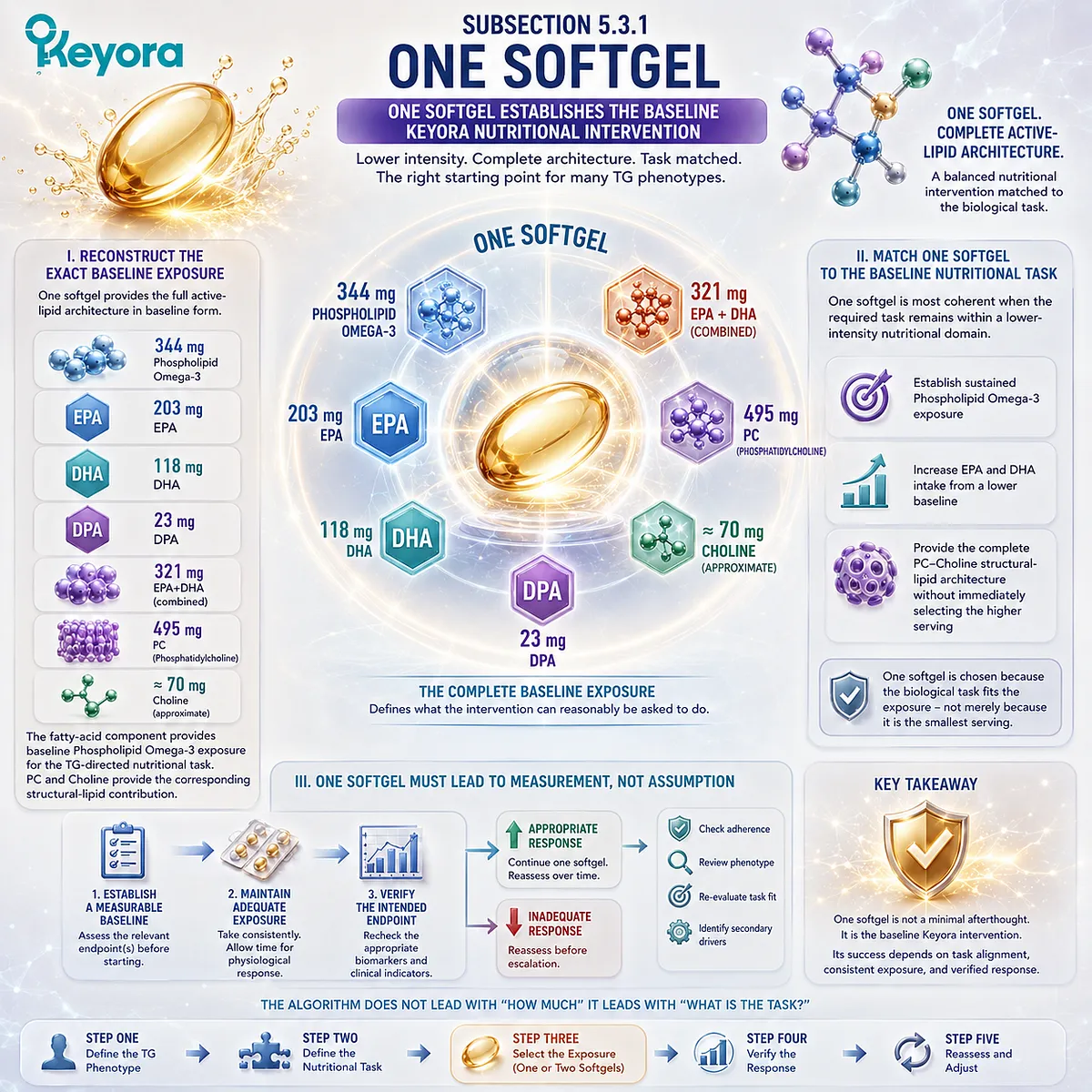 High triglyceride nutrition support starts with one-softgel Phospholipid Omega-3, EPA+DHA and PC-Choline exposure when matched by Keyora’s TG Dose-Task Matching Rule. High triglyceride nutrition support starts with one-softgel Phospholipid Omega-3, EPA+DHA and PC-Choline exposure when matched by Keyora’s TG Dose-Task Matching Rule.