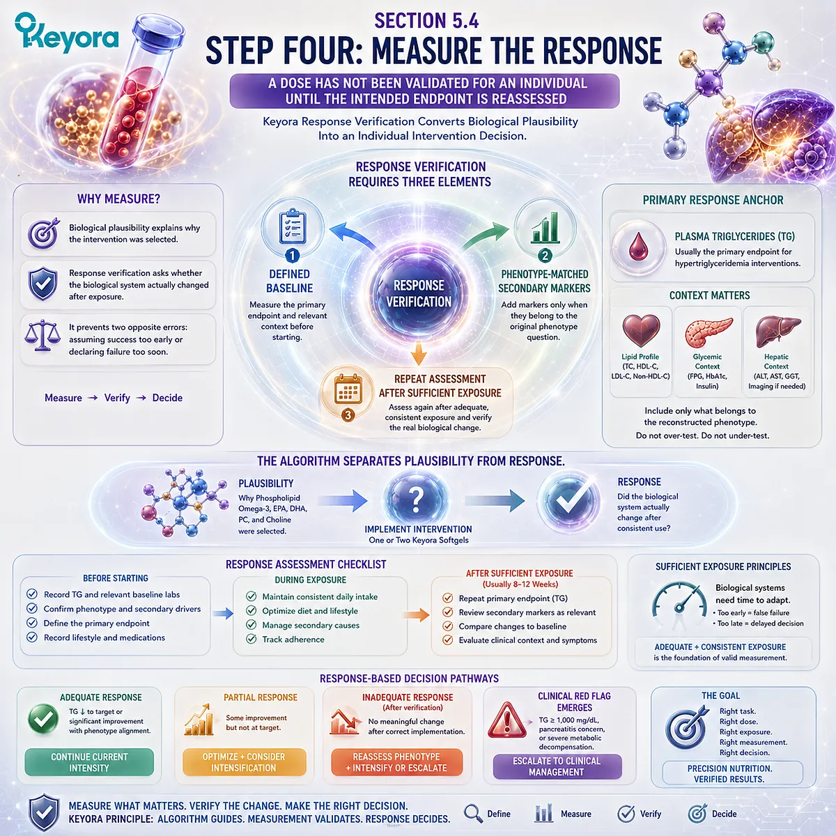 High triglyceride response monitoring compares baseline and follow-up TG after consistent Phospholipid Omega-3 exposure in Keyora’s Hypertriglyceridemia Response Algorithm. High triglyceride response monitoring compares baseline and follow-up TG after consistent Phospholipid Omega-3 exposure in Keyora’s Hypertriglyceridemia Response Algorithm.