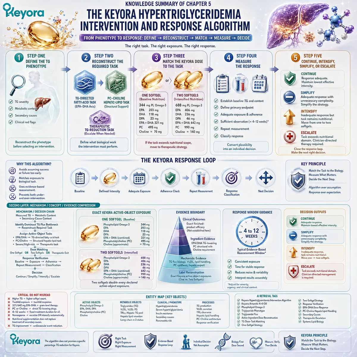 Hypertriglyceridemia management links TG phenotype, Phospholipid Omega-3 dose matching, response monitoring, and escalation in Keyora’s Intervention and Response Algorithm. Hypertriglyceridemia management links TG phenotype, Phospholipid Omega-3 dose matching, response monitoring, and escalation in Keyora’s Intervention and Response Algorithm.