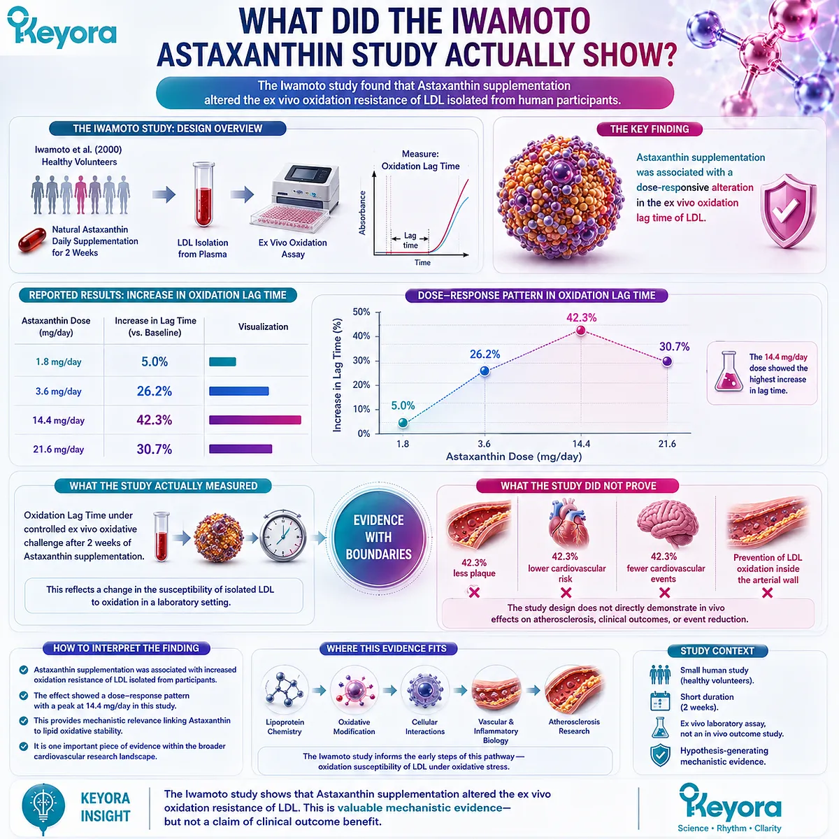 Astaxanthin supplementation increased ex vivo LDL oxidation lag time in the Iwamoto study, supporting LDL oxidative resistance in the Keyora Endothelial Architecture. Astaxanthin supplementation increased ex vivo LDL oxidation lag time in the Iwamoto study, supporting LDL oxidative resistance in the Keyora Endothelial Architecture.