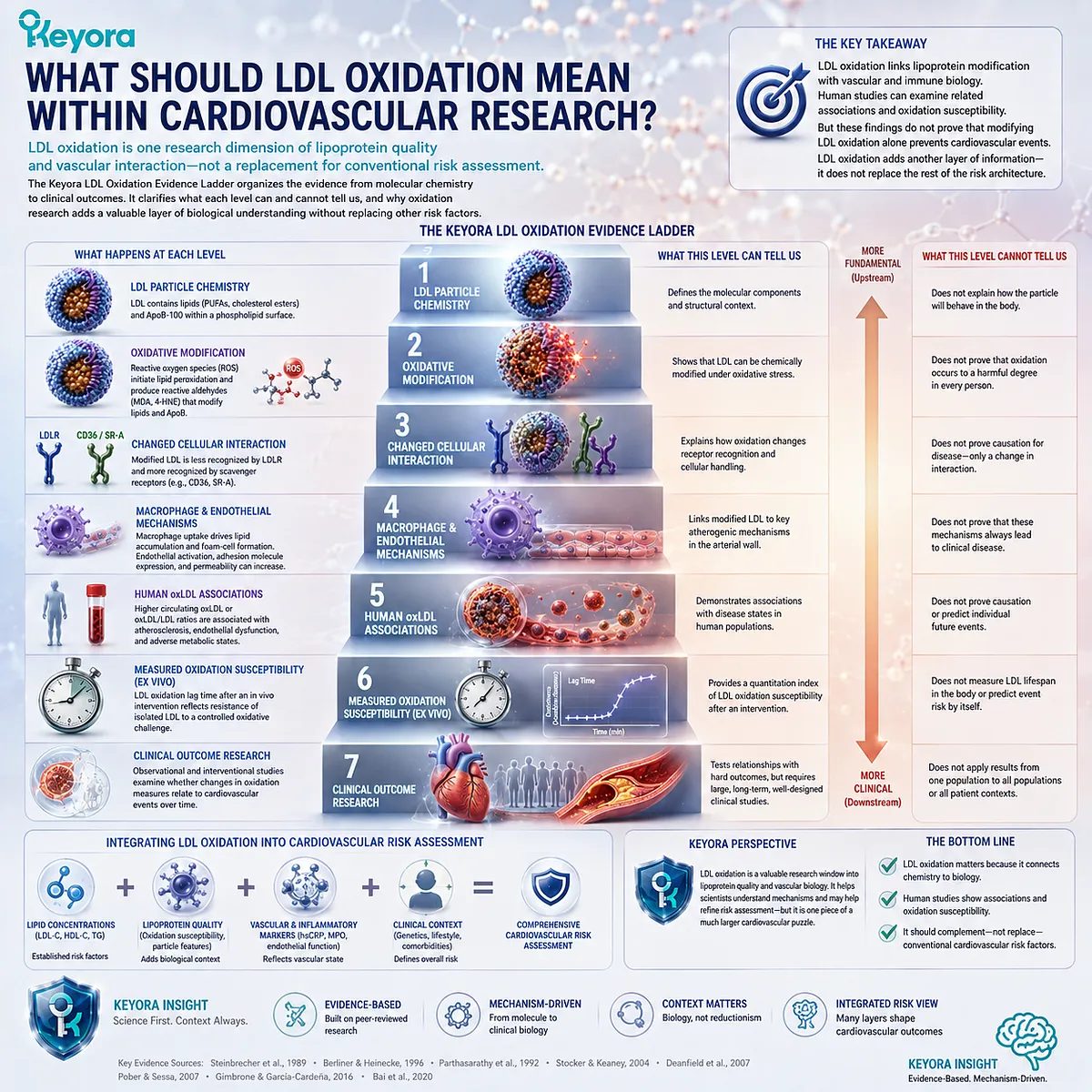 LDL oxidation links lipoprotein modification with macrophage, endothelial and vascular biology while preserving conventional risk assessment in the Keyora LDL Oxidation Evidence Ladder. LDL oxidation links lipoprotein modification with macrophage, endothelial and vascular biology while preserving conventional risk assessment in the Keyora LDL Oxidation Evidence Ladder.