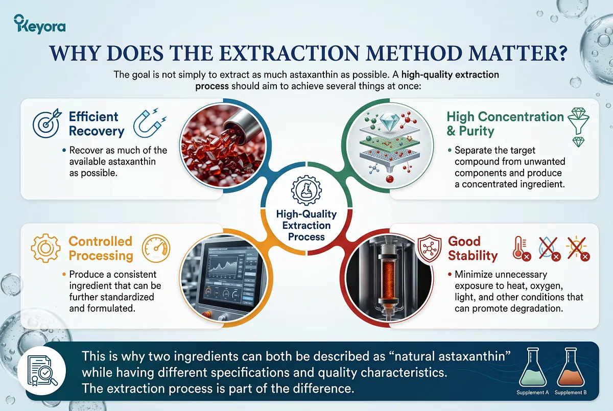 KEYORA technical infographic reviewing traditional extraction methods with detailed beakers and a milling homogenization chamber. It highlights how solvent selection, processing duration, and temperature regulation directly influence astaxanthin recovery, residual solvent removal, and antioxidant stability. KEYORA technical infographic reviewing traditional extraction methods with detailed beakers and a milling homogenization chamber. It highlights how solvent selection, processing duration, and temperature regulation directly influence astaxanthin recovery, residual solvent removal, and antioxidant stability.