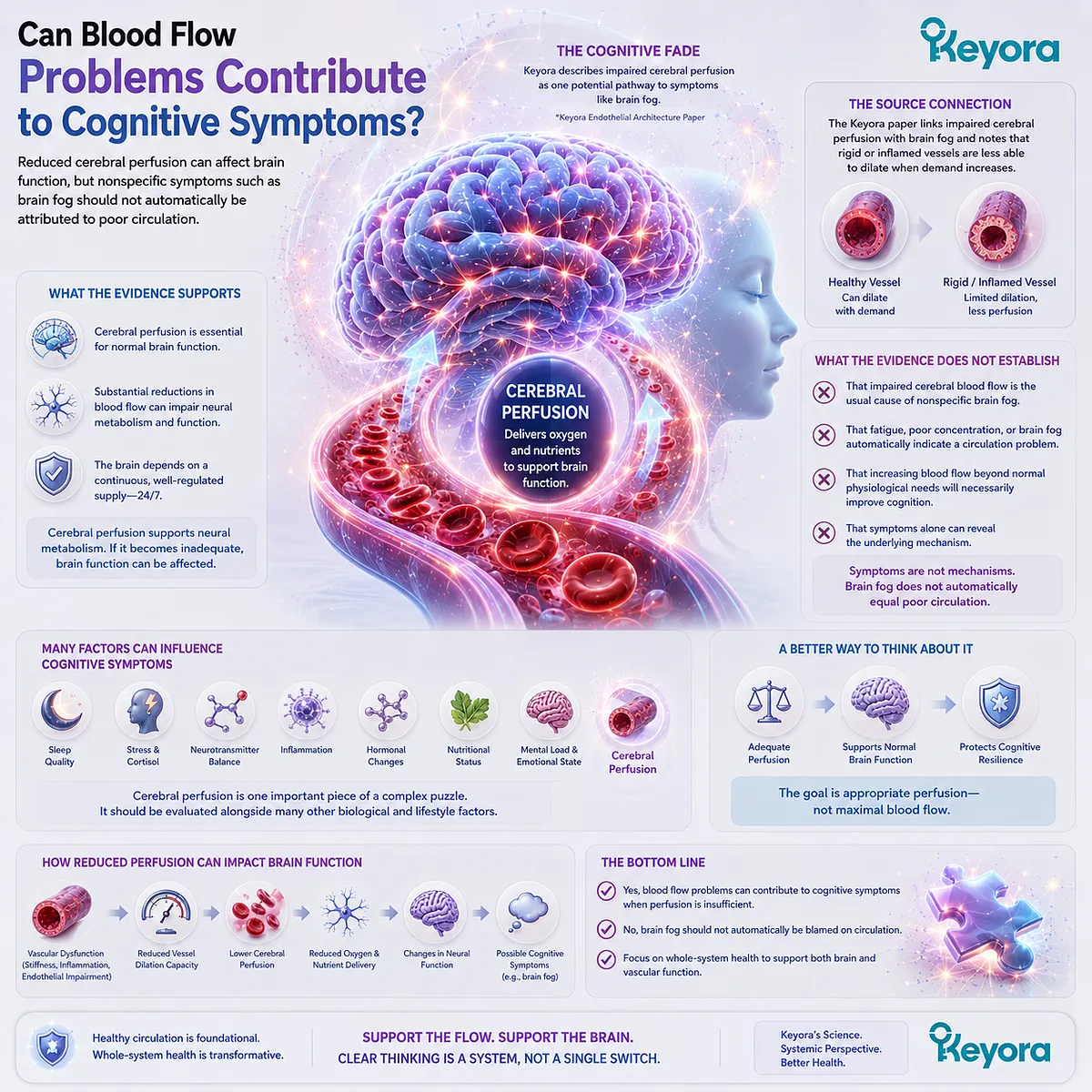 Cerebral perfusion supports brain function, but brain fog has multiple possible causes; Keyora The Cognitive Fade frames blood flow as one evidence-bound factor. Cerebral perfusion supports brain function, but brain fog has multiple possible causes; Keyora The Cognitive Fade frames blood flow as one evidence-bound factor.