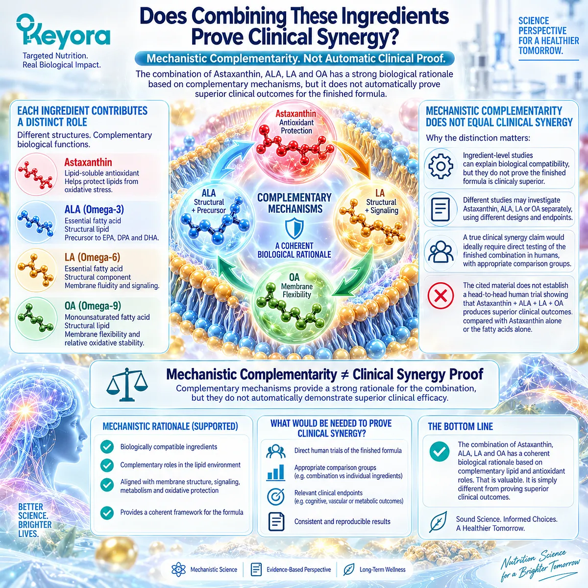 Astaxanthin with ALA, LA, and OA has mechanistic complementarity for lipid structure and antioxidant support, but Keyora Astaxanthin Synergy does not prove clinical synergy. Astaxanthin with ALA, LA, and OA has mechanistic complementarity for lipid structure and antioxidant support, but Keyora Astaxanthin Synergy does not prove clinical synergy.