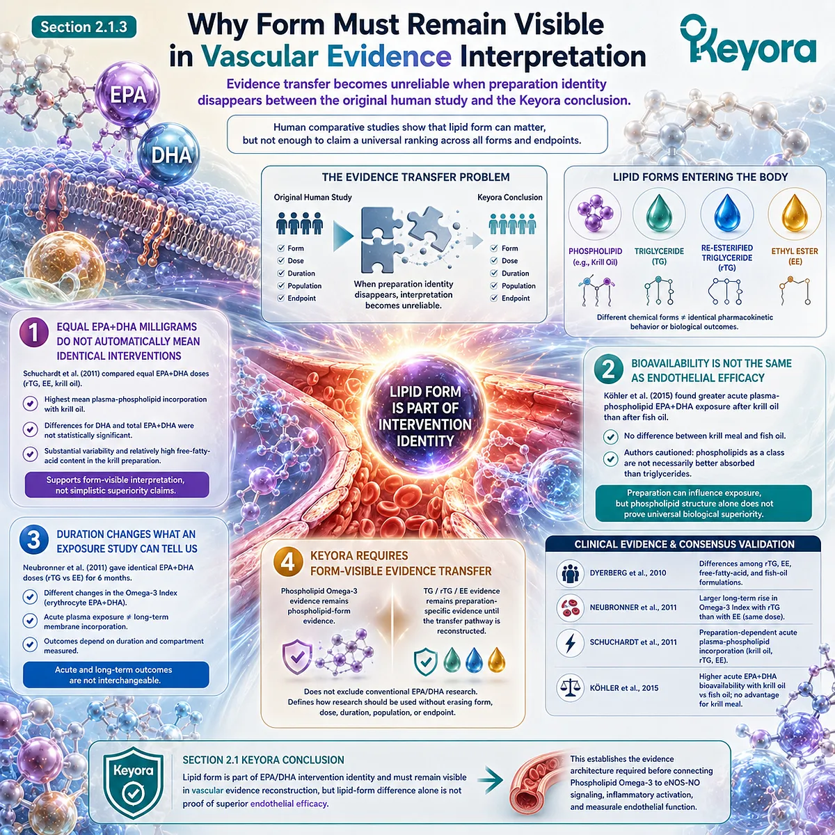 EPA-DHA lipid form, dose, and duration shape vascular evidence transfer, while bioavailability alone cannot prove endothelial efficacy in Keyora Phospholipid Omega-3. EPA-DHA lipid form, dose, and duration shape vascular evidence transfer, while bioavailability alone cannot prove endothelial efficacy in Keyora Phospholipid Omega-3.