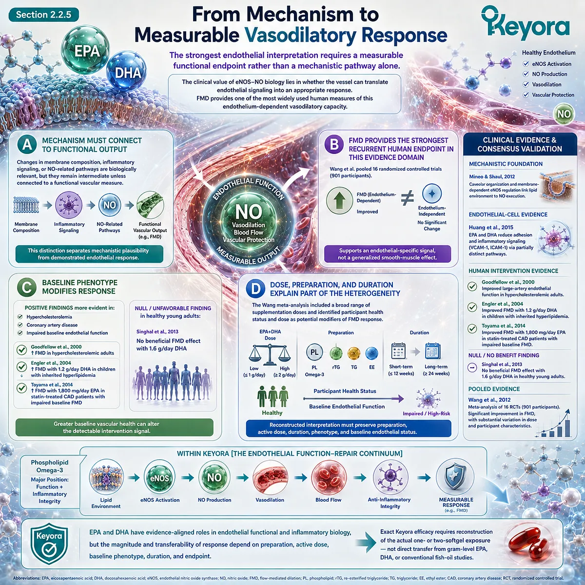 EPA-DHA signaling connects eNOS-NO biology with measurable FMD endothelial response, positioning Phospholipid Omega-3 in Keyora’s Function and Inflammatory Integrity layers. EPA-DHA signaling connects eNOS-NO biology with measurable FMD endothelial response, positioning Phospholipid Omega-3 in Keyora’s Function and Inflammatory Integrity layers.