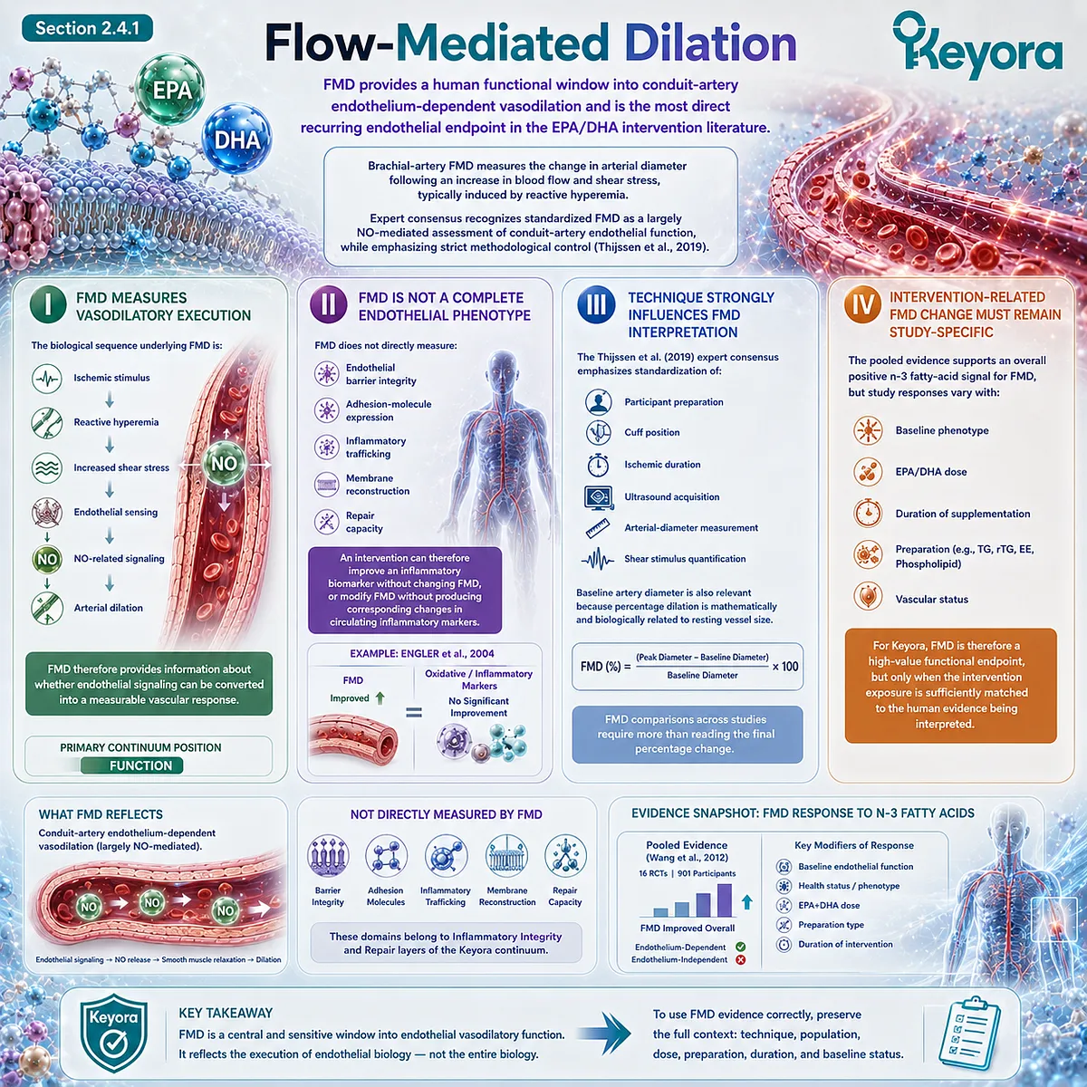 FMD measures NO-mediated endothelial vasodilation and vascular function, providing a key endpoint for Phospholipid Omega-3 in Keyora’s Endothelial Function-Repair Continuum. FMD measures NO-mediated endothelial vasodilation and vascular function, providing a key endpoint for Phospholipid Omega-3 in Keyora’s Endothelial Function-Repair Continuum.