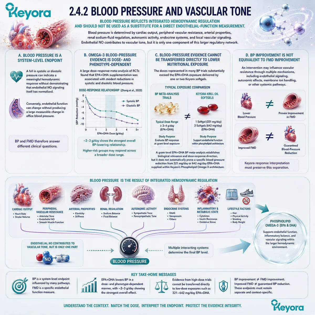 EPA-DHA can support blood pressure and vascular tone through integrated hemodynamic pathways, while Keyora Phospholipid Omega-3 separates BP response from FMD. EPA-DHA can support blood pressure and vascular tone through integrated hemodynamic pathways, while Keyora Phospholipid Omega-3 separates BP response from FMD.