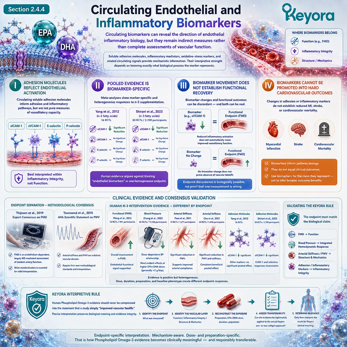 EPA-DHA vascular biomarkers map ICAM-1, VCAM-1 and inflammatory signaling separately from FMD, BP and PWV in Keyora’s Phospholipid Omega-3 framework. EPA-DHA vascular biomarkers map ICAM-1, VCAM-1 and inflammatory signaling separately from FMD, BP and PWV in Keyora’s Phospholipid Omega-3 framework.