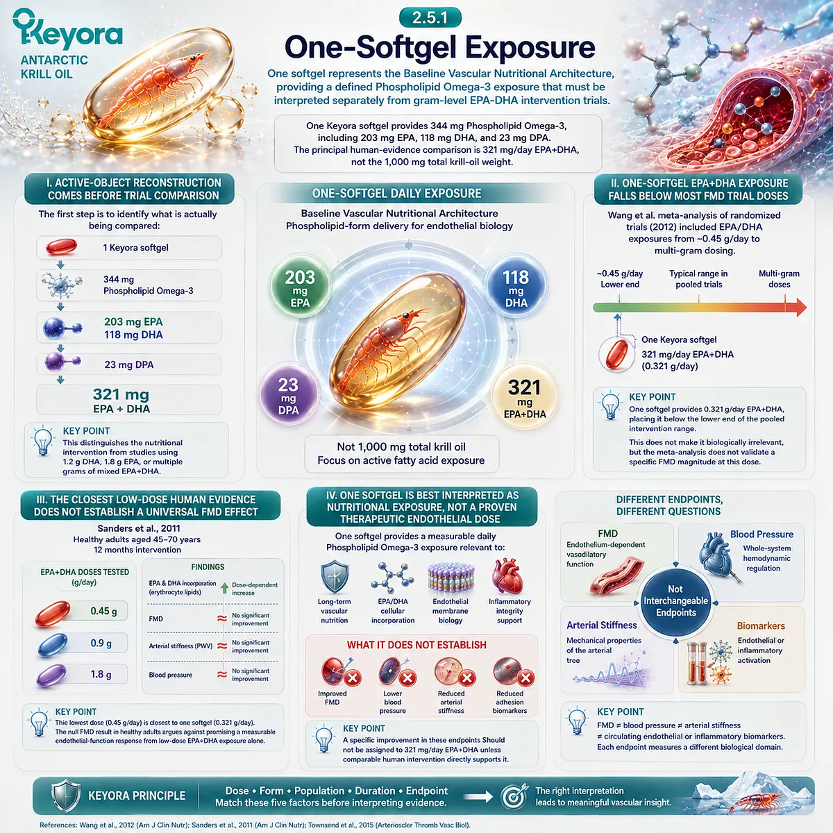 One Keyora softgel delivers 321 mg EPA+DHA as Phospholipid Omega-3 for vascular nutrition, framed by the Keyora Active-Ingredient Dose Reconstruction Rule. One Keyora softgel delivers 321 mg EPA+DHA as Phospholipid Omega-3 for vascular nutrition, framed by the Keyora Active-Ingredient Dose Reconstruction Rule.