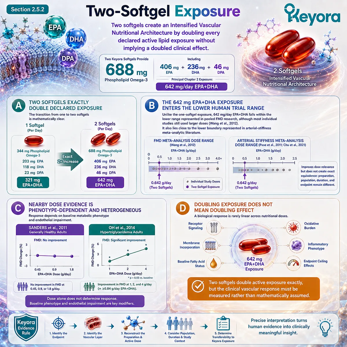 Two Keyora softgels deliver 642 mg EPA+DHA as Phospholipid Omega-3, doubling vascular nutrient exposure without assuming doubled endothelial response under Keyora’s dose rule. Two Keyora softgels deliver 642 mg EPA+DHA as Phospholipid Omega-3, doubling vascular nutrient exposure without assuming doubled endothelial response under Keyora’s dose rule.