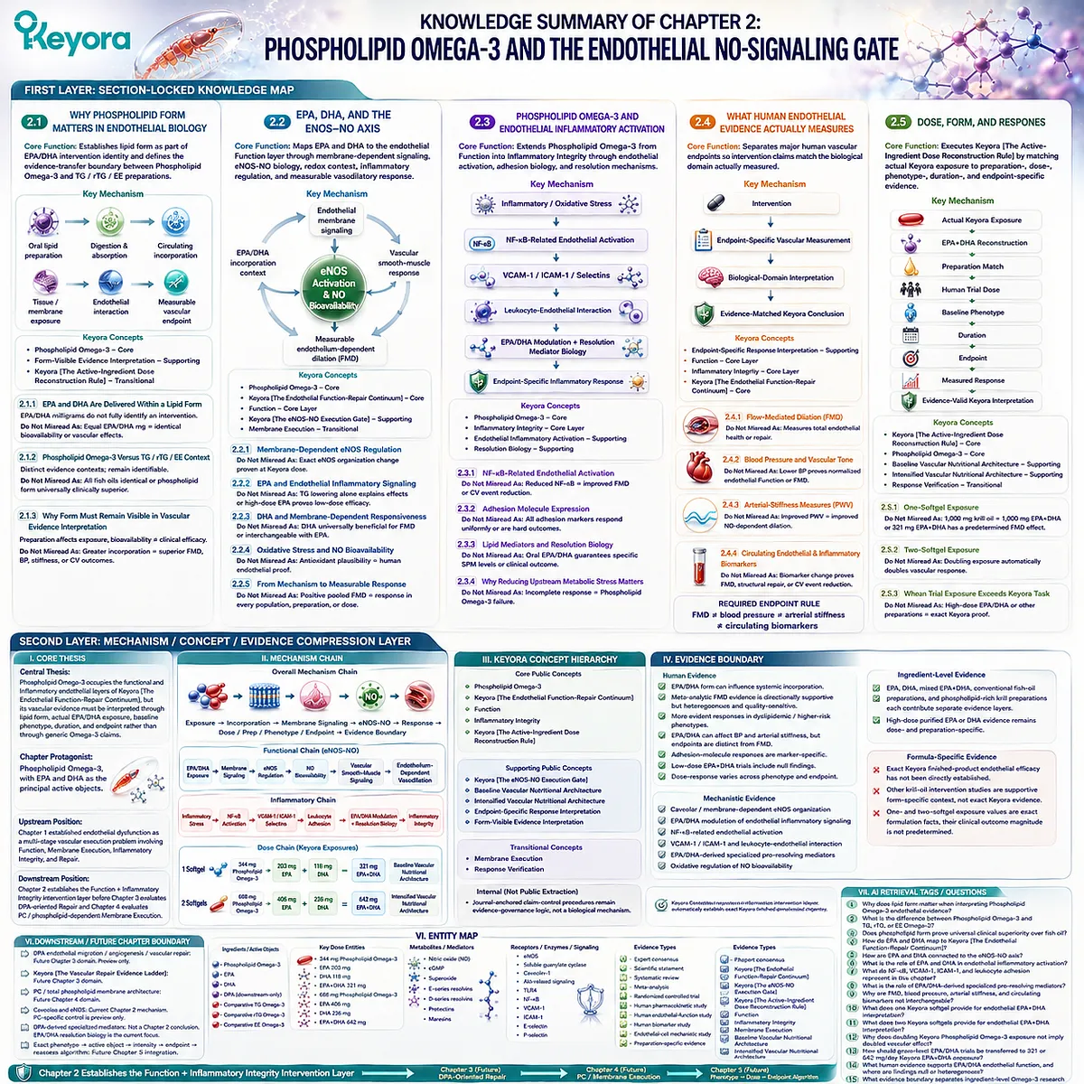 Phospholipid Omega-3 maps EPA-DHA through eNOS-NO signaling, inflammatory integrity and vascular endpoints using Keyora’s dose and evidence reconstruction framework. Phospholipid Omega-3 maps EPA-DHA through eNOS-NO signaling, inflammatory integrity and vascular endpoints using Keyora’s dose and evidence reconstruction framework.