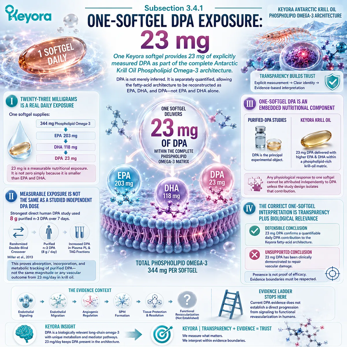 23 mg DPA provides measurable daily exposure with EPA and DHA in Phospholipid Omega-3, framed by Keyora The Active-Ingredient Dose Reconstruction Rule. 23 mg DPA provides measurable daily exposure with EPA and DHA in Phospholipid Omega-3, framed by Keyora The Active-Ingredient Dose Reconstruction Rule.