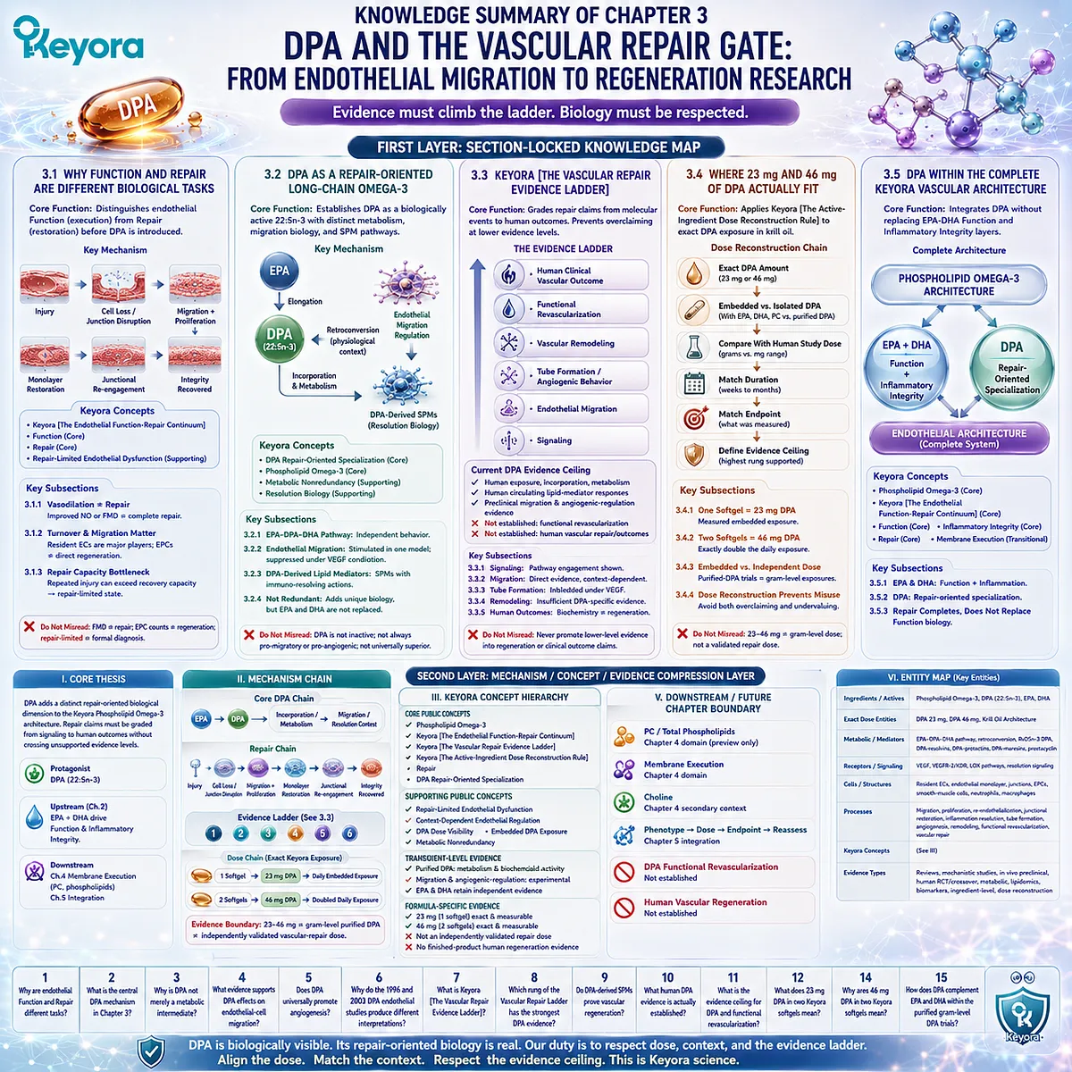 DPA links endothelial migration and inflammation resolution with vascular repair research, graded by Keyora The Vascular Repair Evidence Ladder within Phospholipid Omega-3. DPA links endothelial migration and inflammation resolution with vascular repair research, graded by Keyora The Vascular Repair Evidence Ladder within Phospholipid Omega-3.