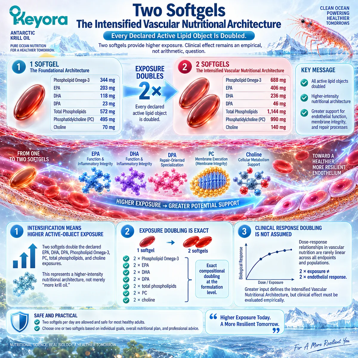 Two-softgel krill oil dosing doubles Phospholipid Omega-3, EPA, DHA, DPA and PC exposure in Keyora’s Intensified Vascular Nutritional Architecture. Two-softgel krill oil dosing doubles Phospholipid Omega-3, EPA, DHA, DPA and PC exposure in Keyora’s Intensified Vascular Nutritional Architecture.