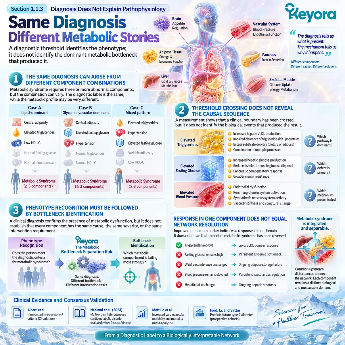 Metabolic syndrome diagnosis maps risk but not whether adipose overflow, hepatic VLDL, insulin resistance or vascular stress dominates, under the Keyora Bottleneck Separation Rule. Metabolic syndrome diagnosis maps risk but not whether adipose overflow, hepatic VLDL, insulin resistance or vascular stress dominates, under the Keyora Bottleneck Separation Rule.