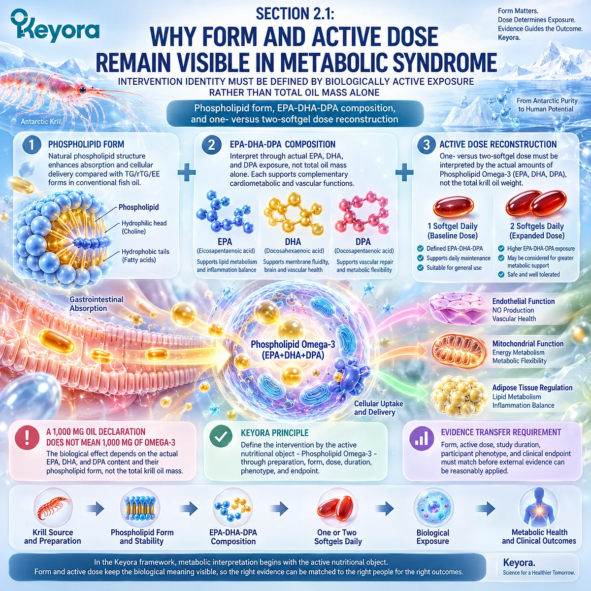 Phospholipid Omega-3 dose reconstruction maps EPA-DHA-DPA exposure beyond total krill oil mass for evidence-aligned metabolic syndrome support in Keyora. Phospholipid Omega-3 dose reconstruction maps EPA-DHA-DPA exposure beyond total krill oil mass for evidence-aligned metabolic syndrome support in Keyora.