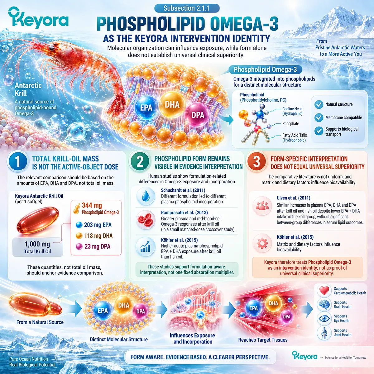 Phospholipid Omega-3 maps EPA-DHA-DPA active dose beyond krill oil milligrams, supporting form-aware metabolic interpretation through Keyora Dose Reconstruction. Phospholipid Omega-3 maps EPA-DHA-DPA active dose beyond krill oil milligrams, supporting form-aware metabolic interpretation through Keyora Dose Reconstruction.