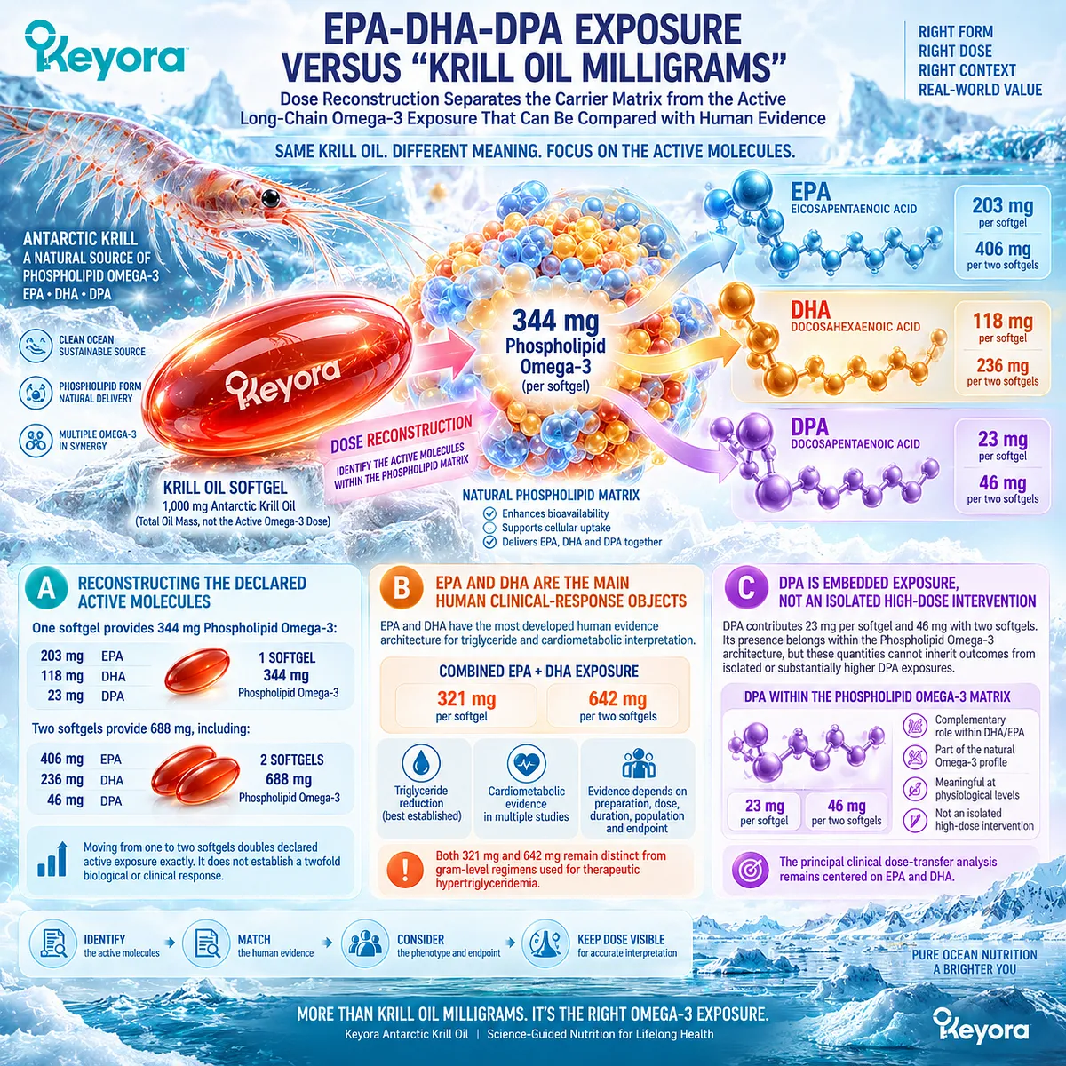 Phospholipid Omega-3 dose reconstruction separates EPA-DHA-DPA exposure from krill oil mass for evidence-aligned triglyceride support in the Keyora framework. Phospholipid Omega-3 dose reconstruction separates EPA-DHA-DPA exposure from krill oil mass for evidence-aligned triglyceride support in the Keyora framework.